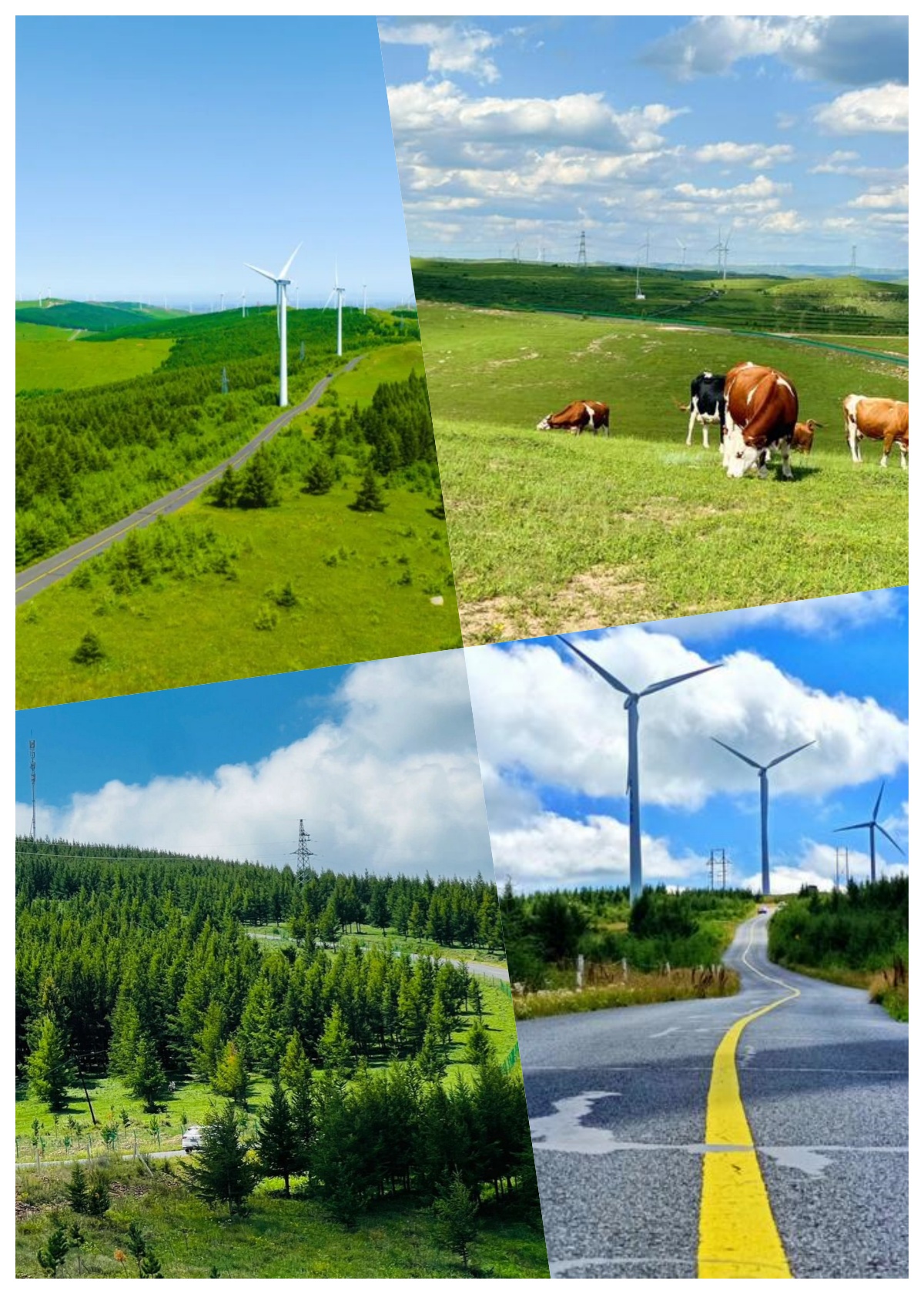 夏日寻梦,张北草原的清凉之旅  炎炎夏日,逃离城市的热浪,前往张北