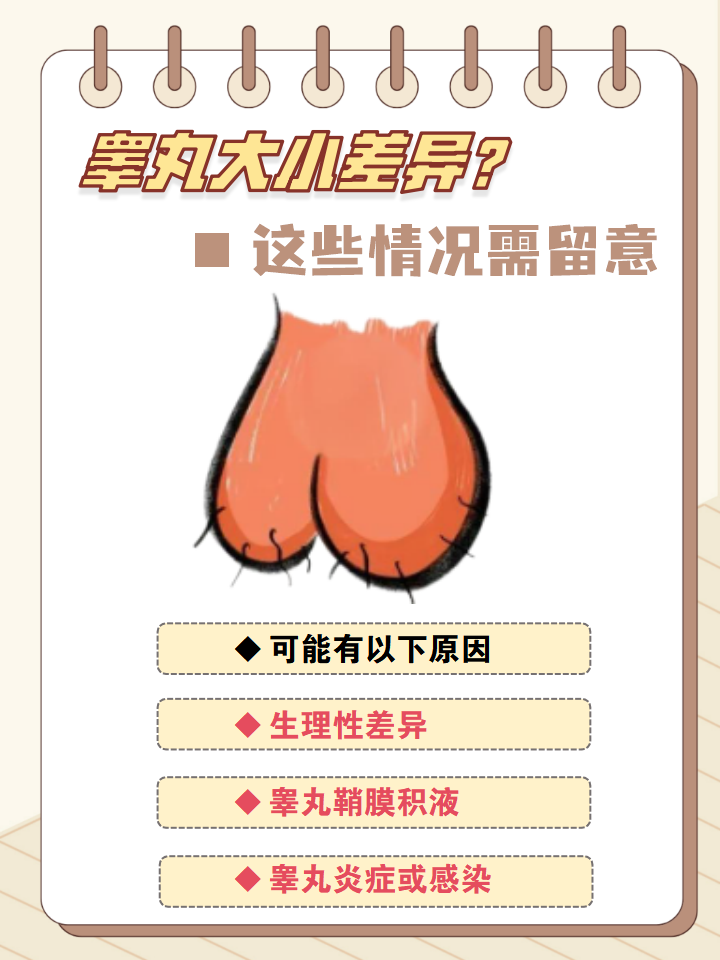 当发现一侧睾丸明显大于另一侧时,不少人心中难免会泛起一丝担忧