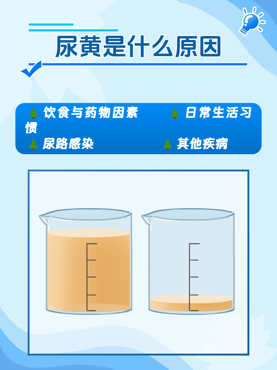尿为什么是黄的