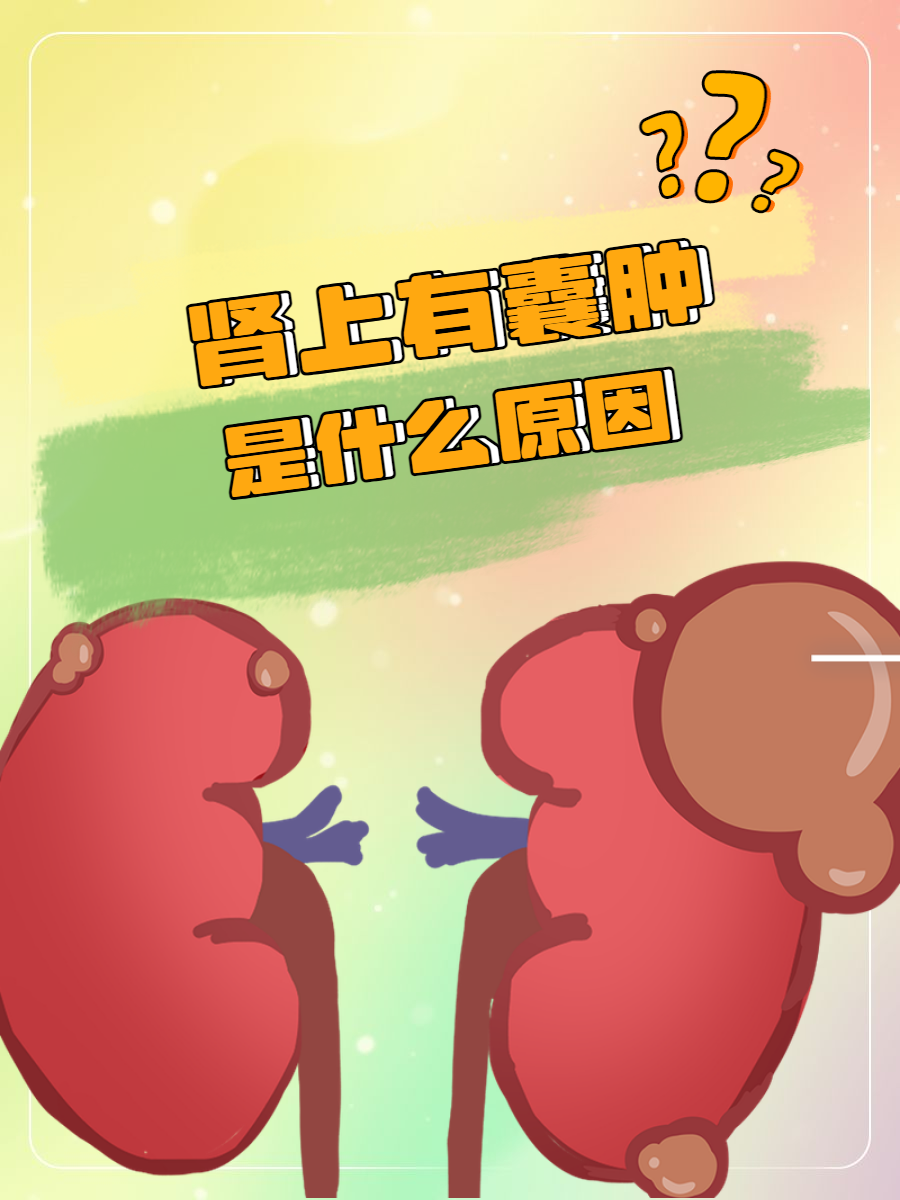 女性为什么会左肾囊肿
