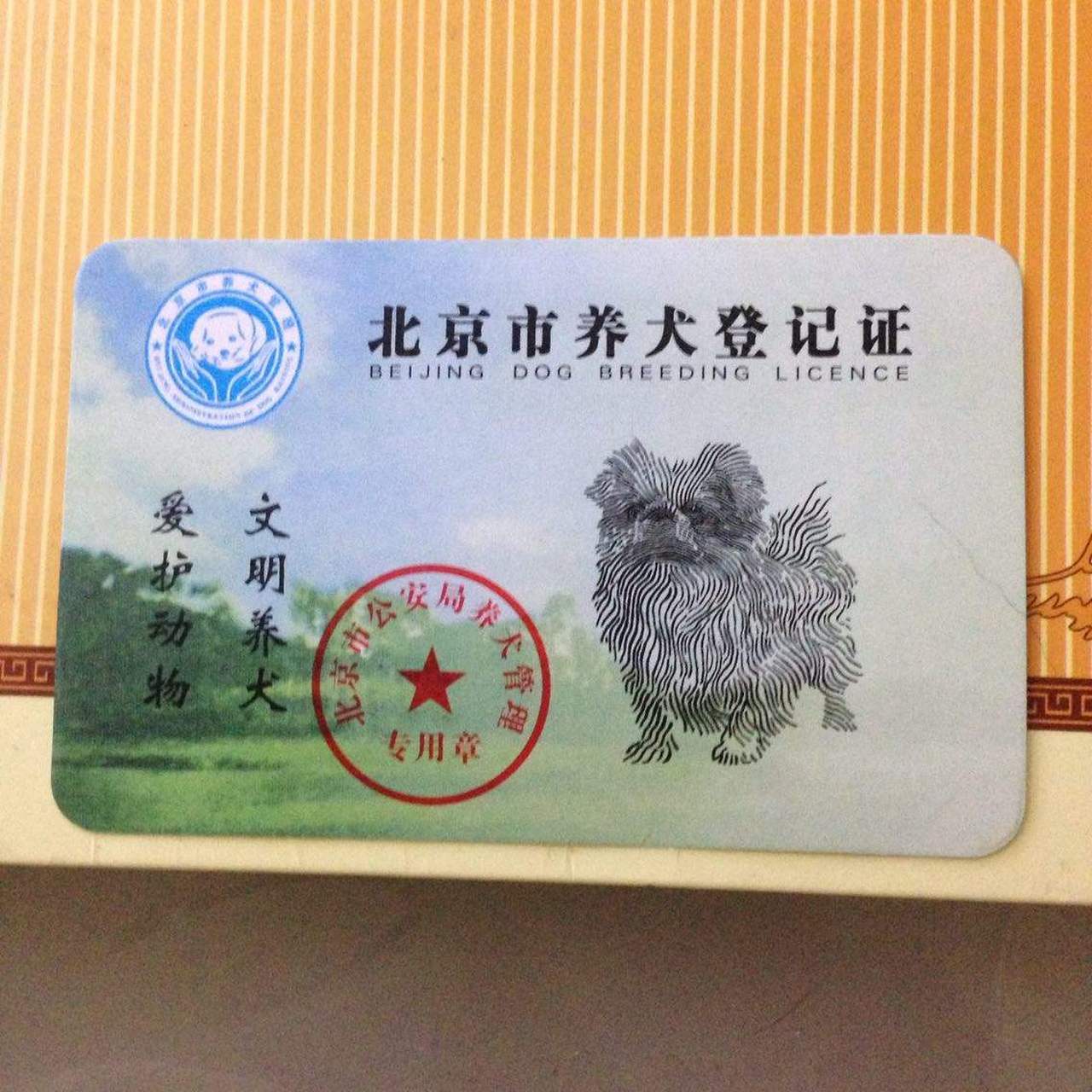 办理狗证照片模板图片