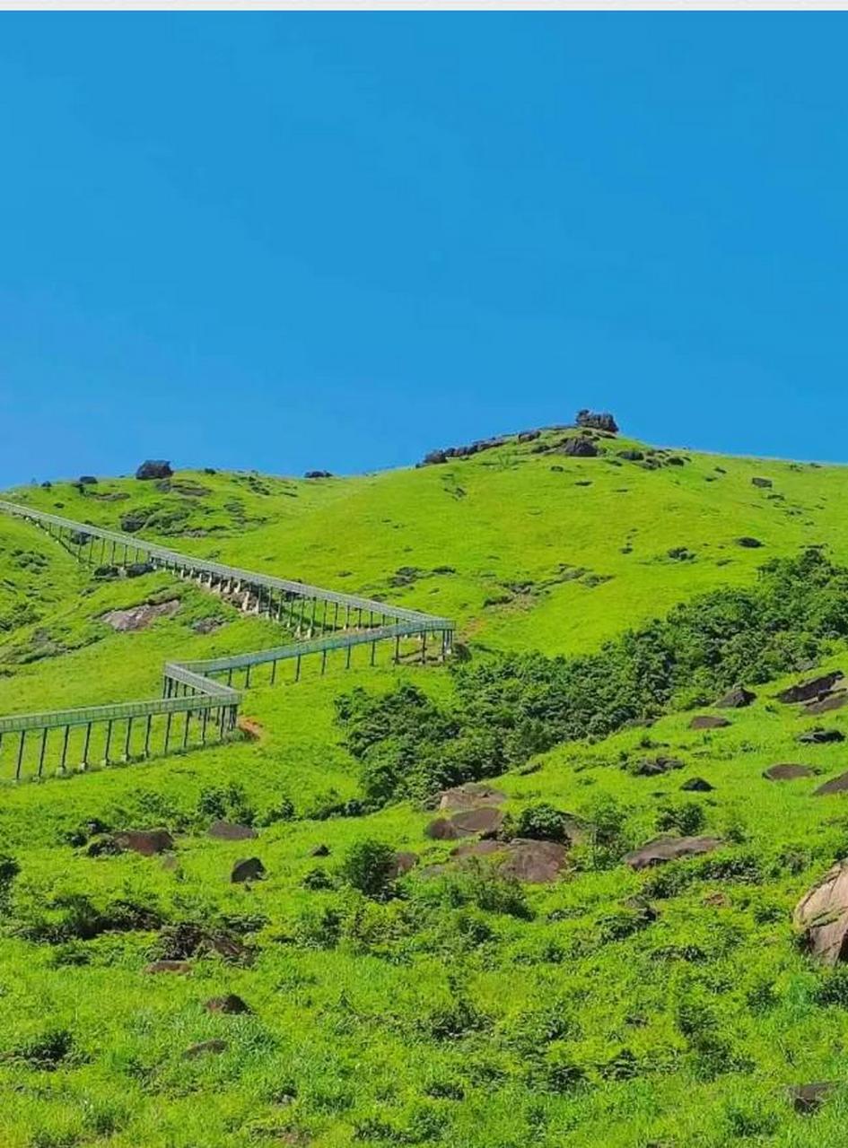 周末去哪儿玩# 福建宁德柘荣鸳鸯草场 踏上南方最大的万亩高山草甸