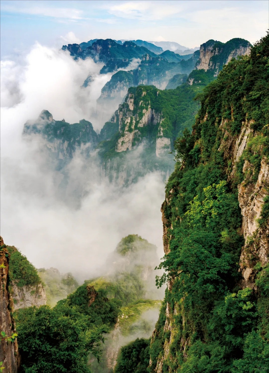 王莽岭风景图片图片