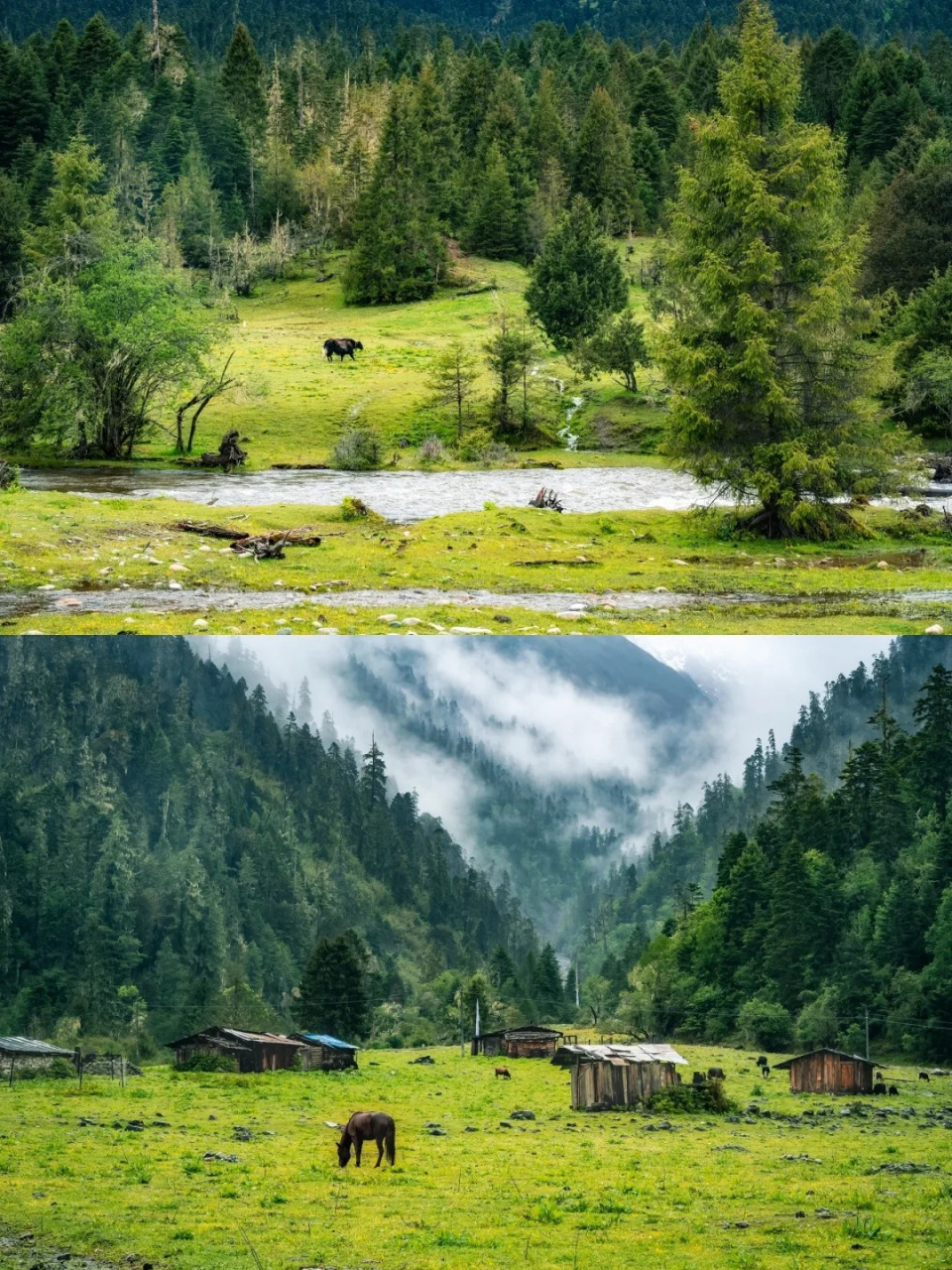 到了鲁朗,一定要在这里住上一晚,怎能错过如此童话故事一样的田园风光
