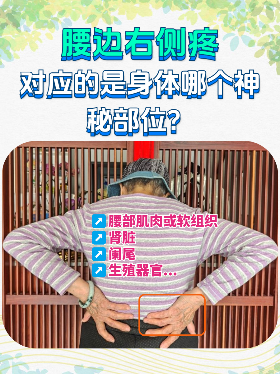 为什么我们能感受到疼痛？