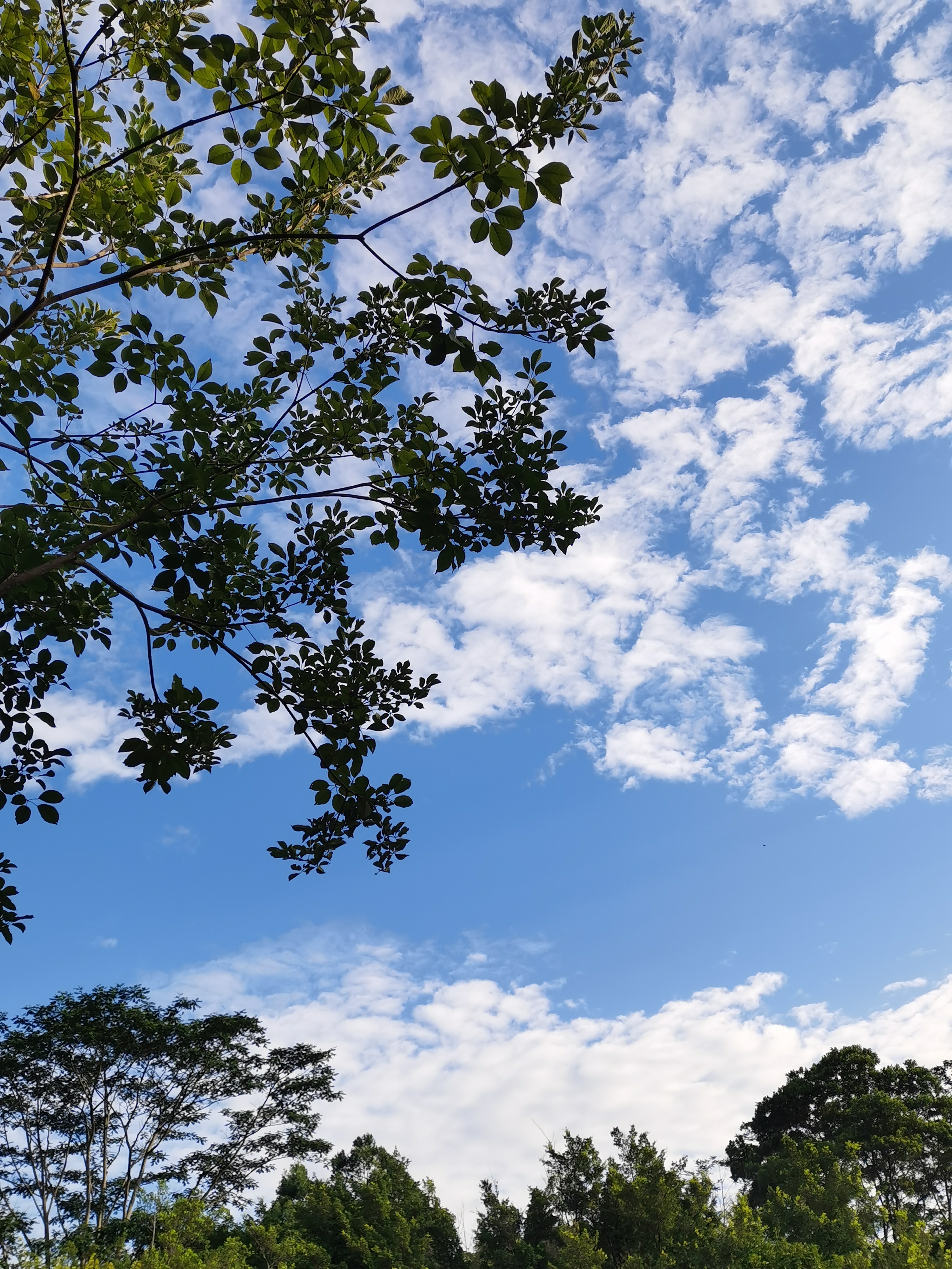 每天看1张自然风景照:感受自然的美好 快节奏的生活中,心情常常被压力