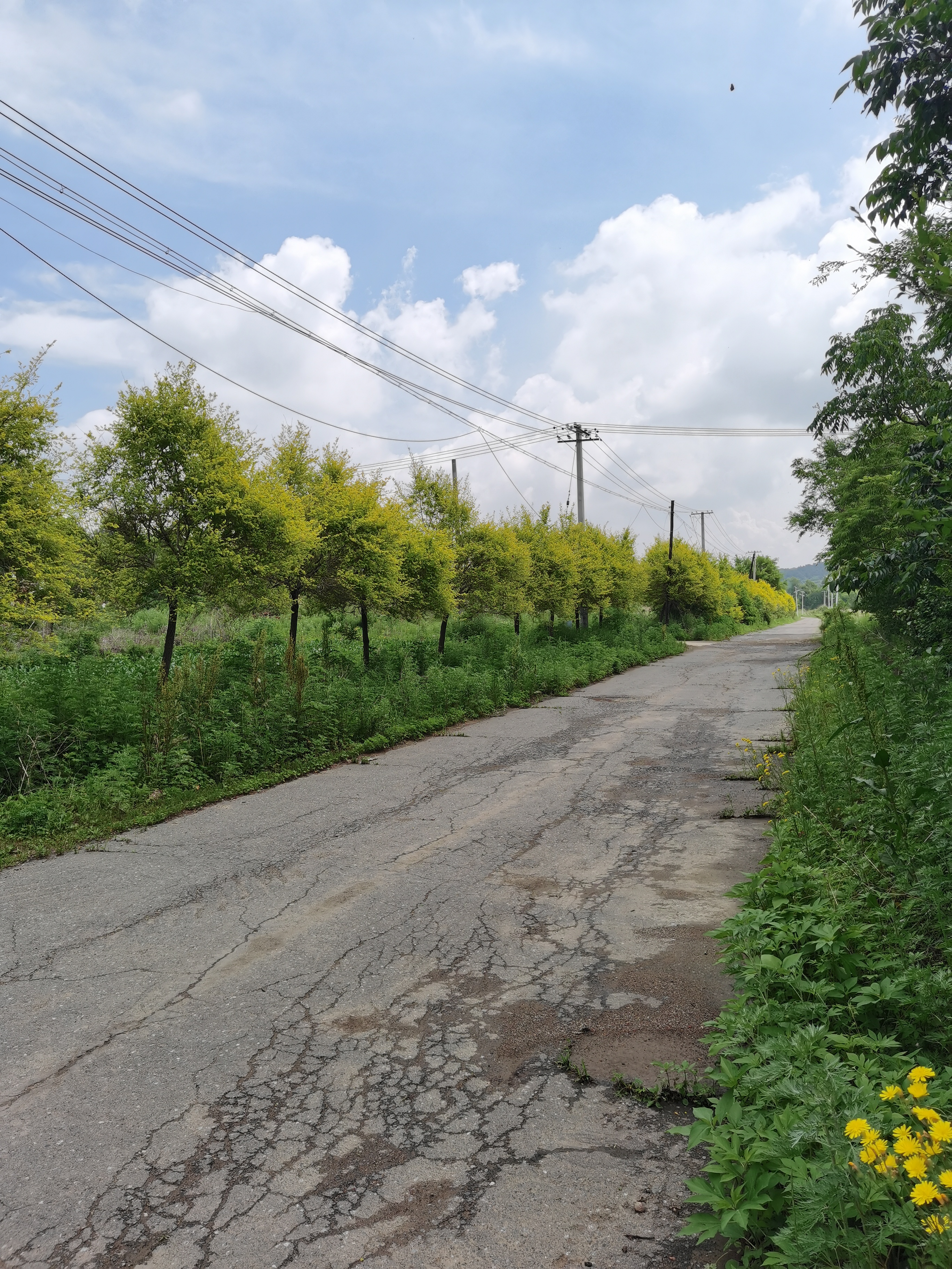 四十年前上大学时,我和老贺一个宿舍,有一天老贺