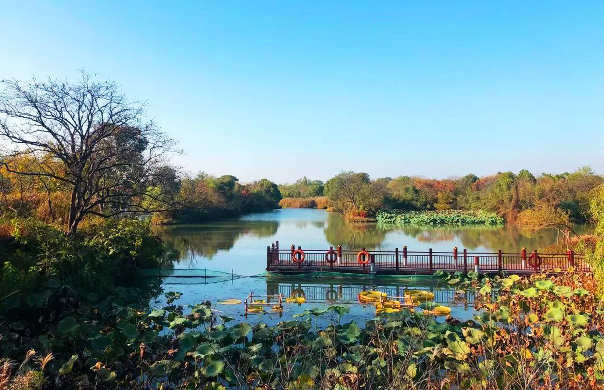 西溪湿地:蓝绿交织的城市绿肺  西溪湿地位于杭州市西部,是中国首个集