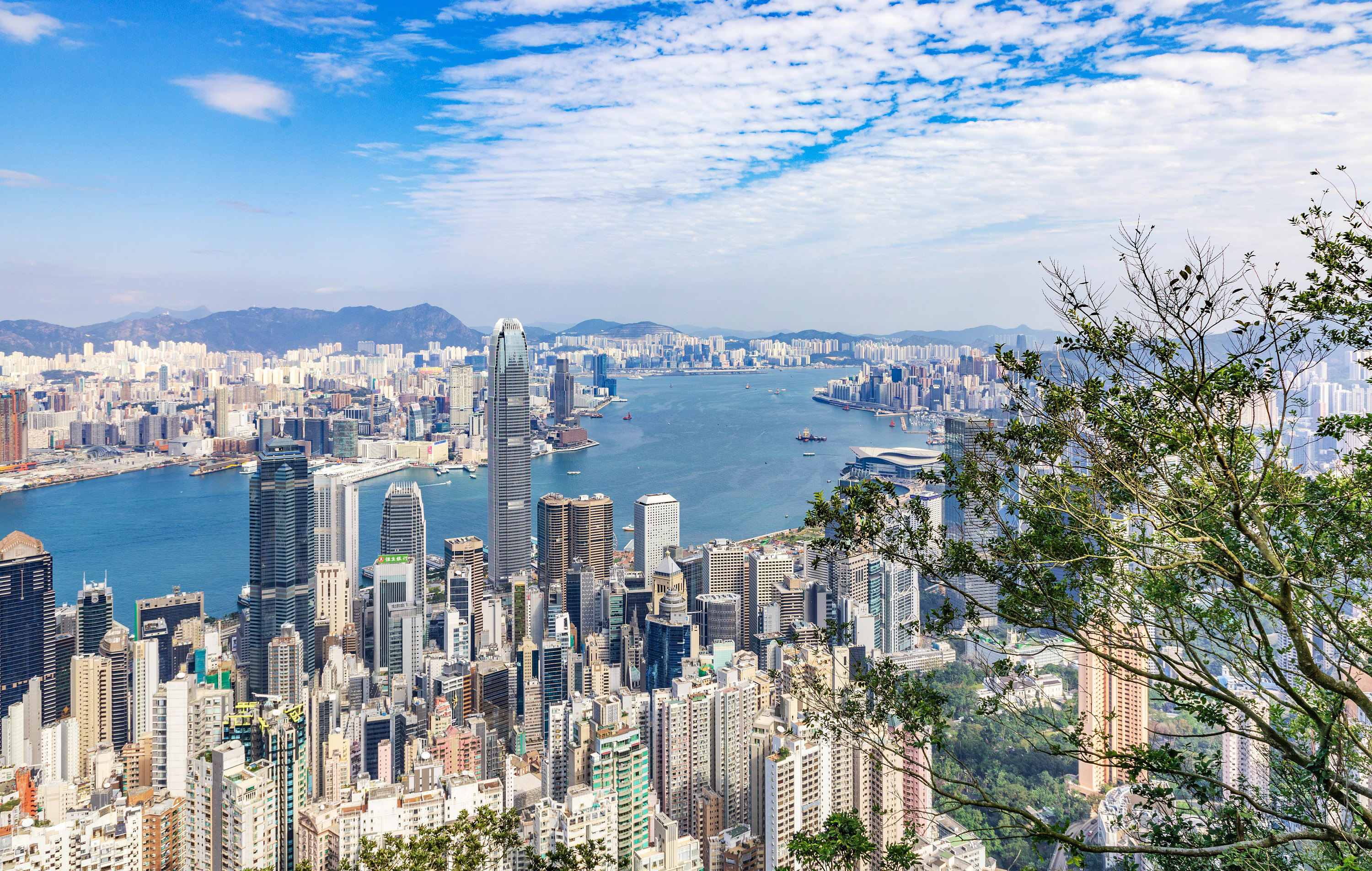 香港的维多利亚湾是什么地方(香港的维多利亚湾是什么地方的)