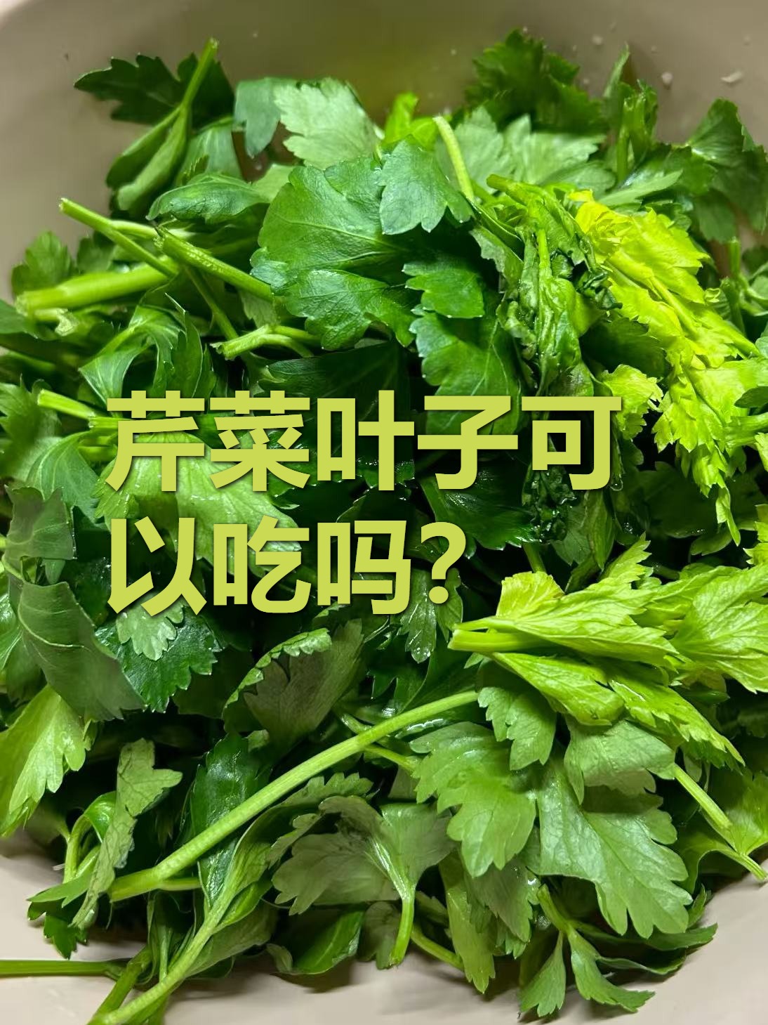 很多人炒芹菜时顺手把叶子扔了其实叶子才是隐藏的宝藏口感和营养