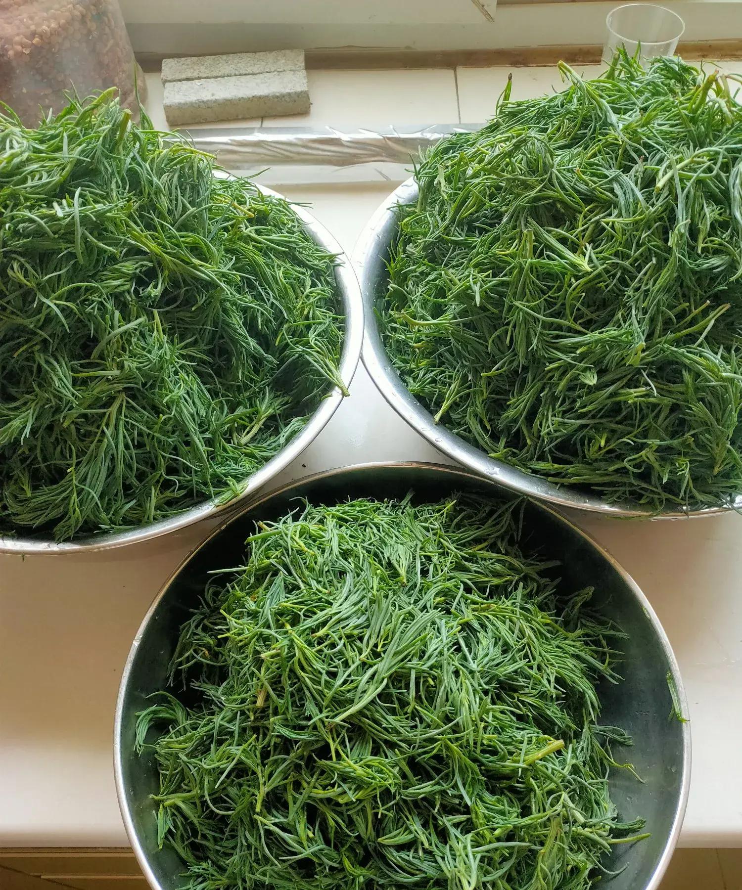 看看东营遍地的"野菜"