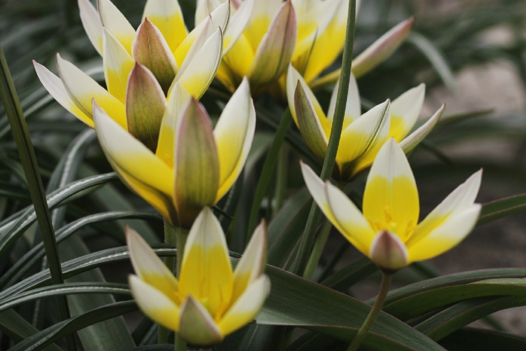 当你身无分文,一无所有的时候,仿佛整个世界都与你背道而驰