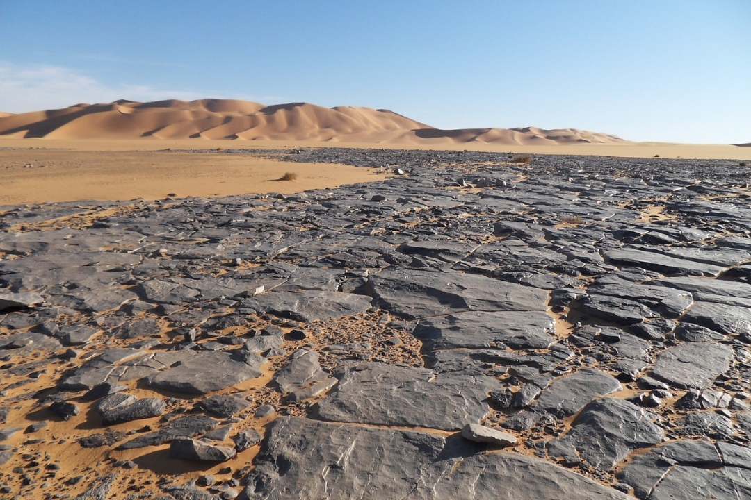 做事先做人,牢记八大做人智慧更易成功: