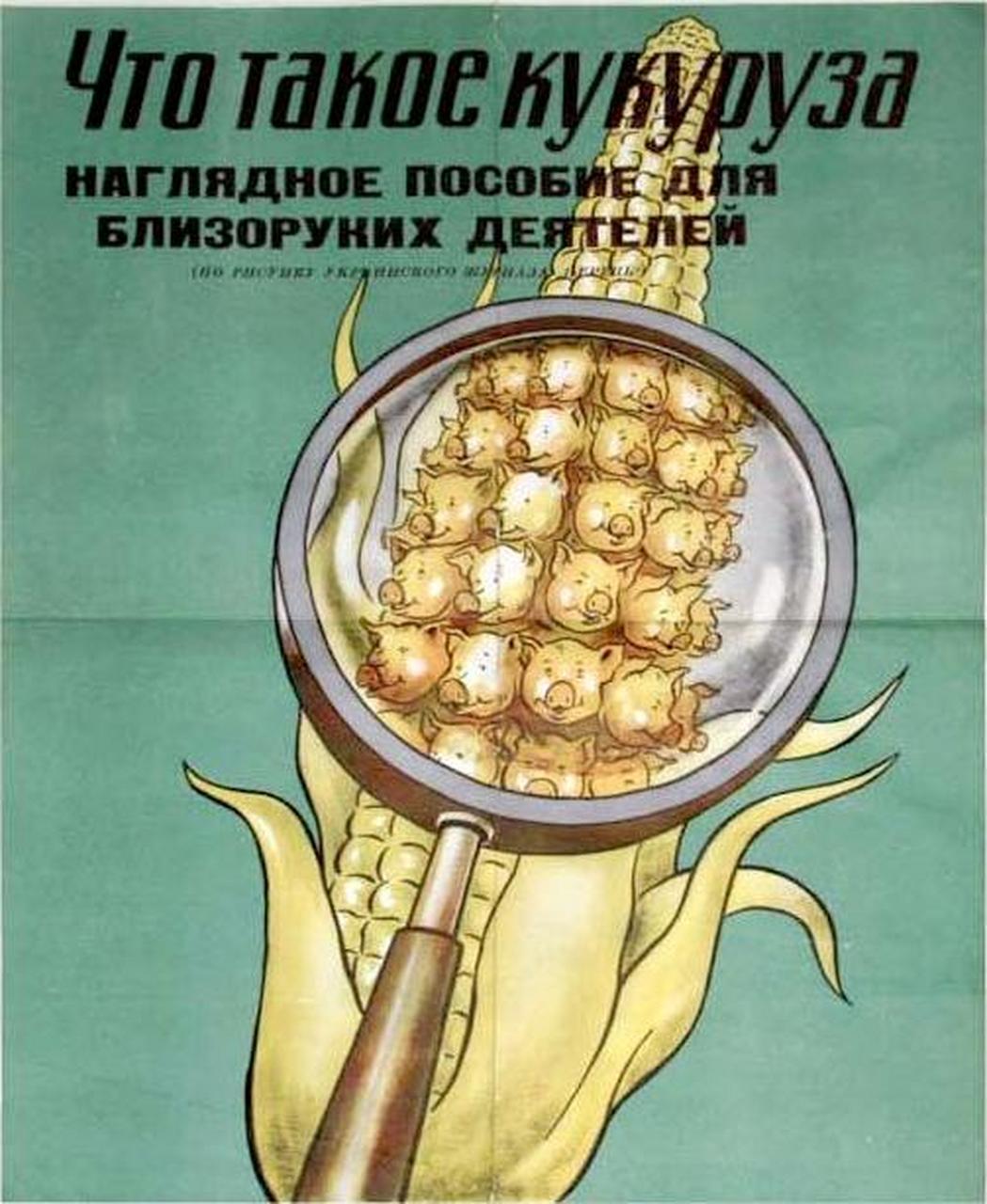 近视人物的视觉辅助",1955年苏联"玉米运动"的宣传海报.