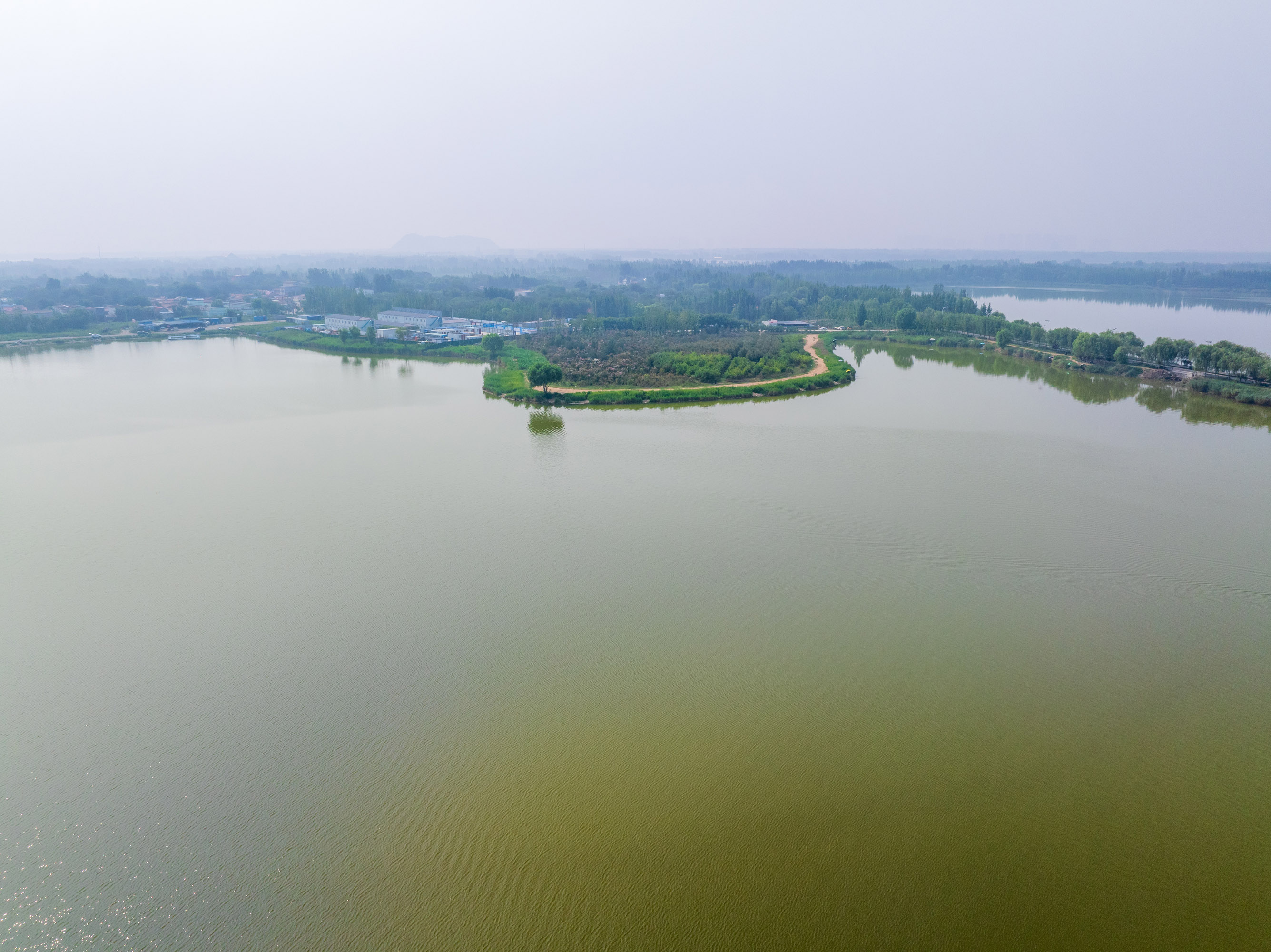 济南鹊山龙湖湿地,位于黄河北岸的新旧动能转换先行区,是一个免费的