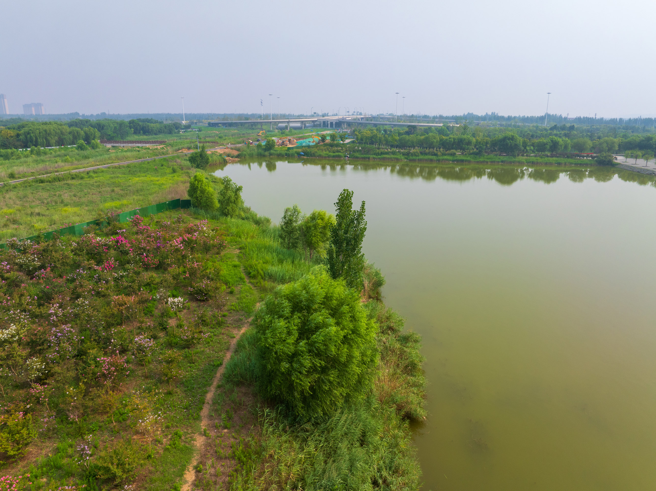 济南鹊山龙湖湿地,位于黄河北岸的新旧动能转换先行区,是一个免费的