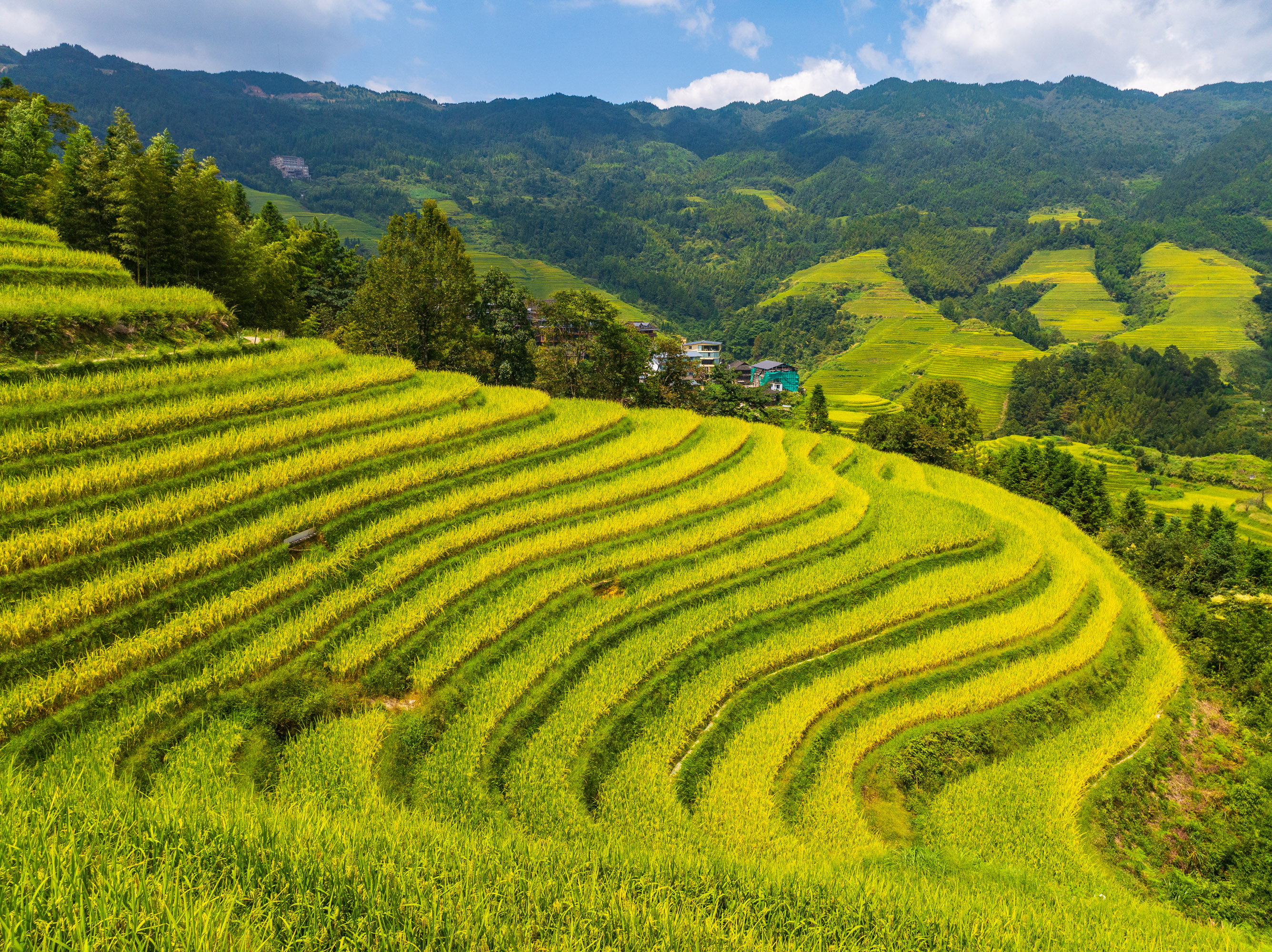 航拍广西桂林龙胜龙脊梯田,层层叠叠的稻田形成千层天梯,风景壮美如画