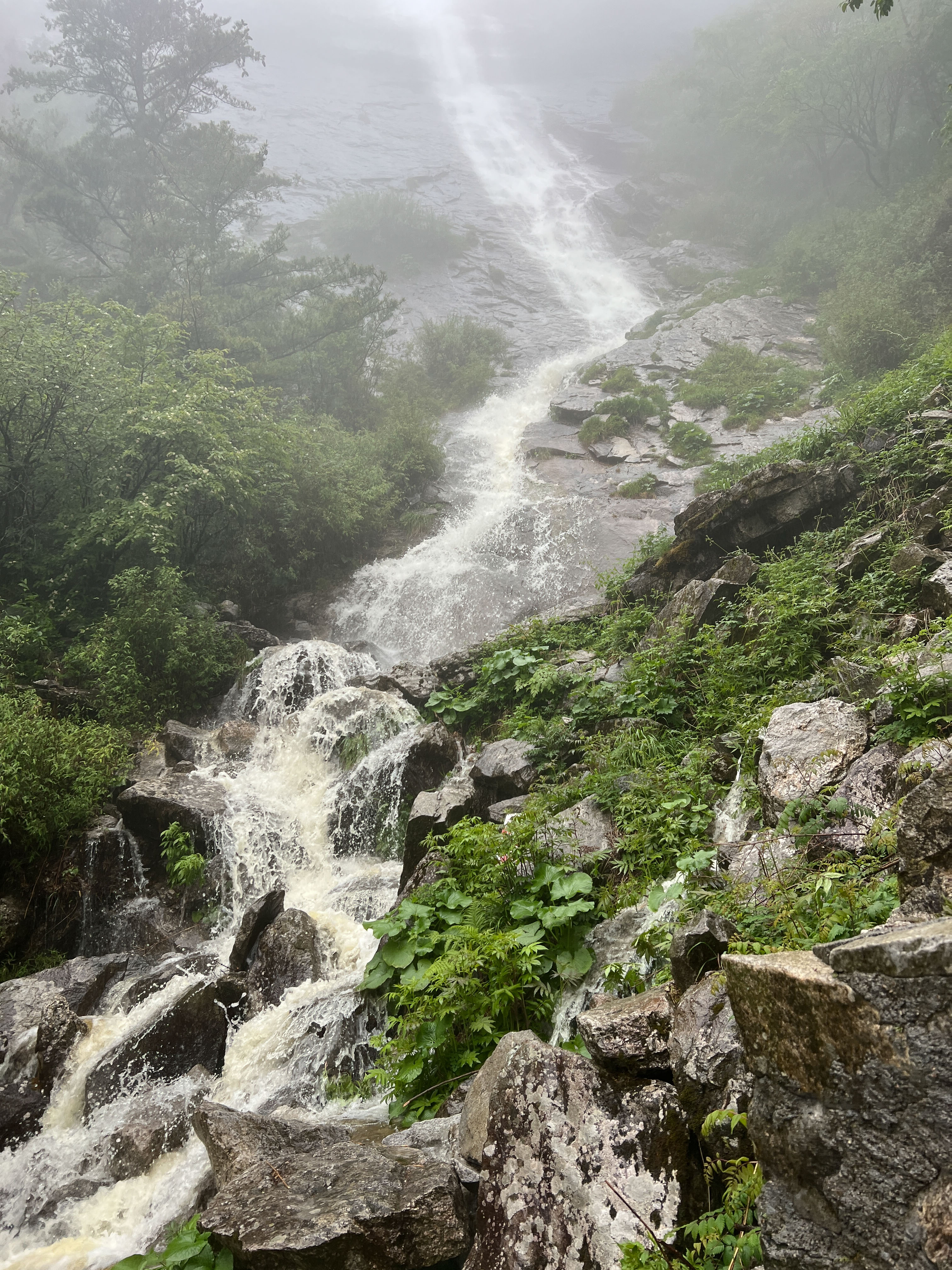 1999年被评为国家级森林公园,2016朱雀国家森林公园秦岭北麓陕西省的