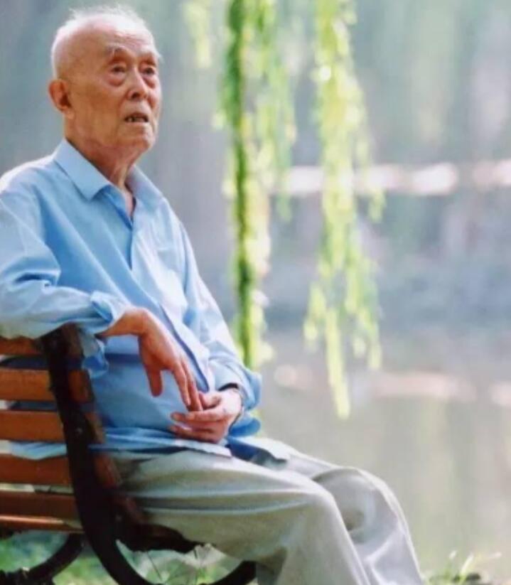 娱乐之文坛巨匠