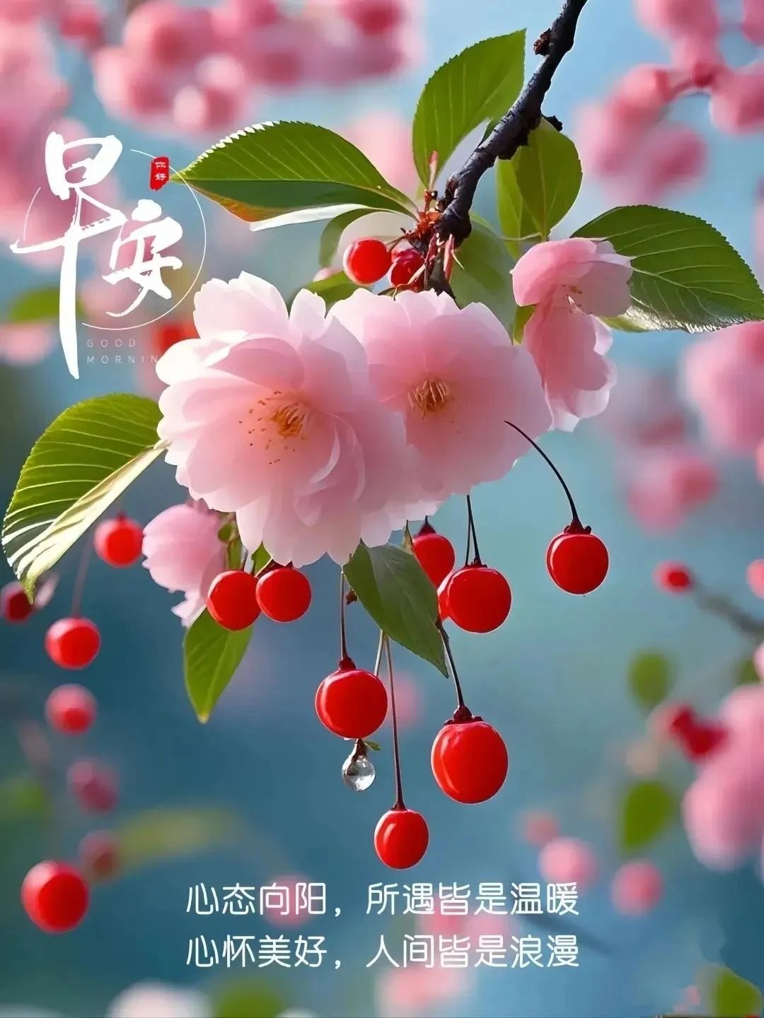 早安,愿新的一天,以梦为马,不负韶华