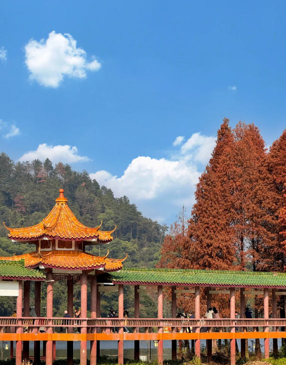 【2025年第一天,女人要这样为自己开好头】 今天就