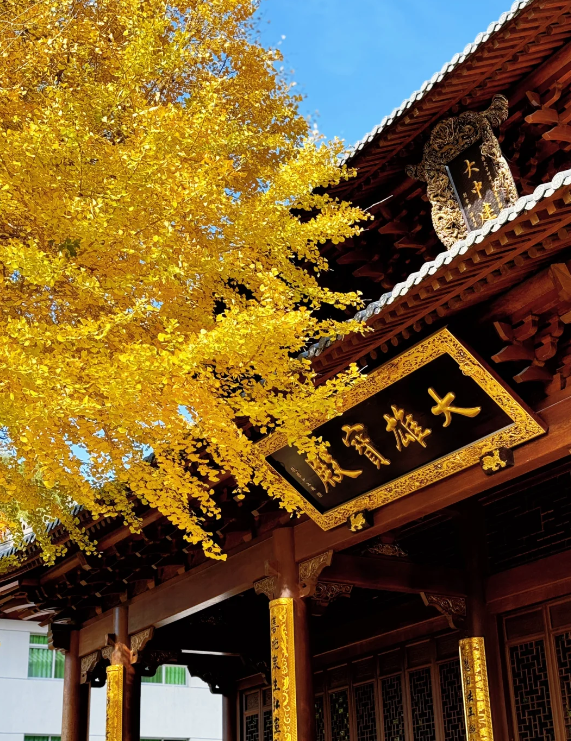 【女人一定得知道的行业秘密】 一是,着火,家里着火