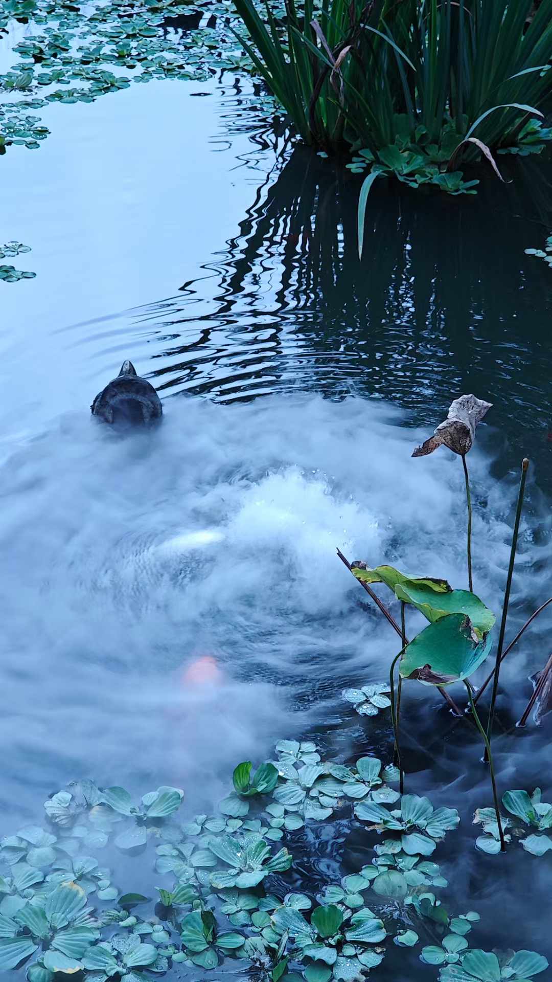 生活这个大编剧安排得明明白白,有时候剧本平淡如水