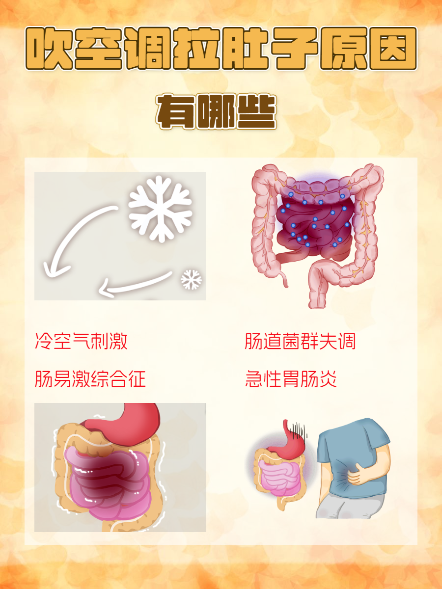 为什么我经常拉肚子 为什么我经常拉肚子