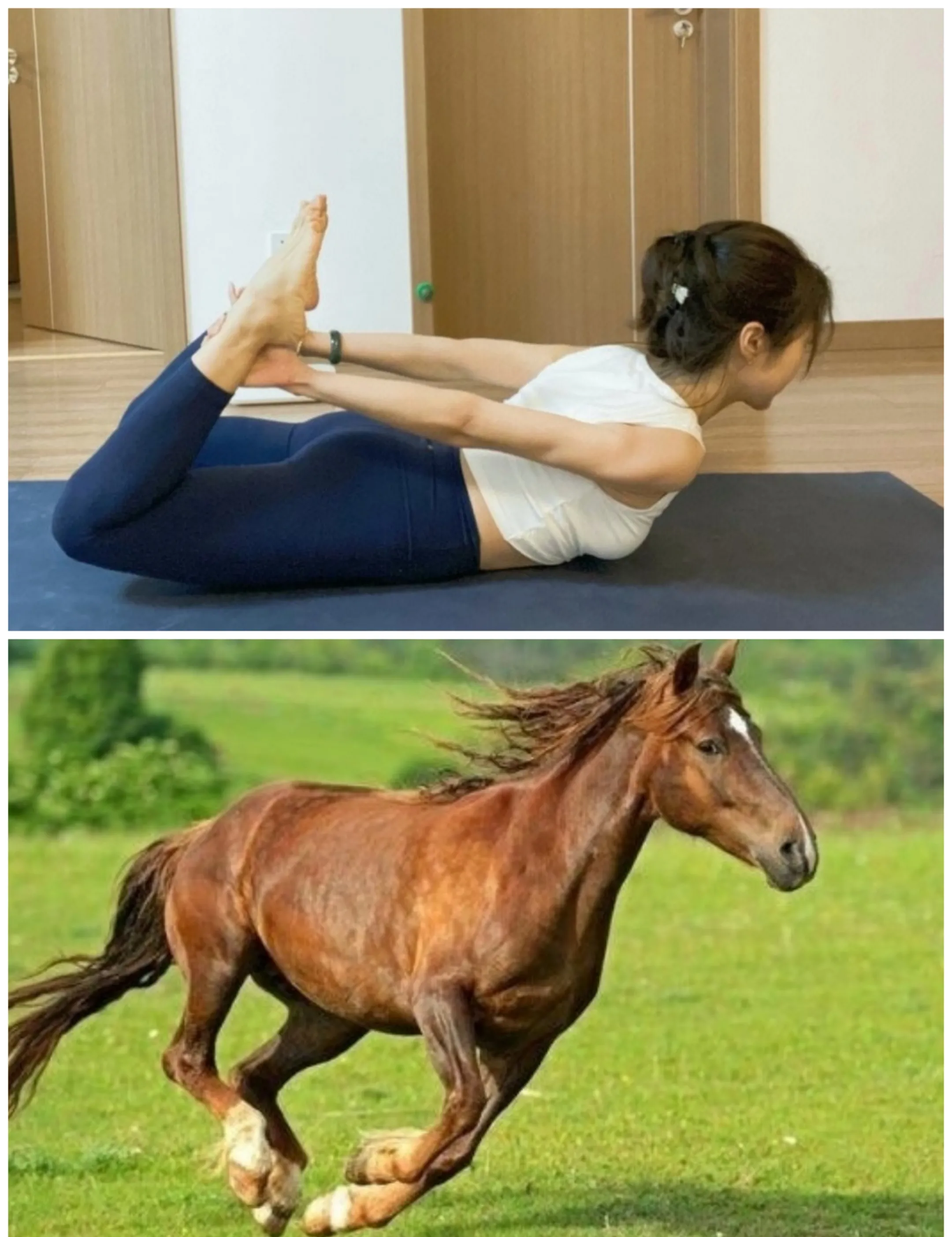 所以它也叫四马倒攒蹄