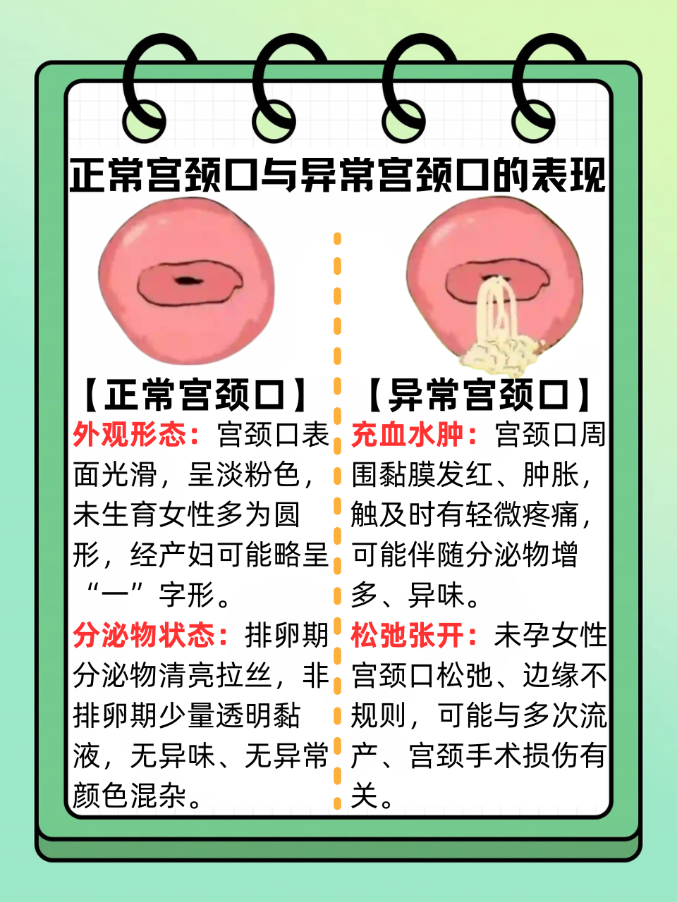 宫颈健康是女性生殖健康的重要一环,不少人想