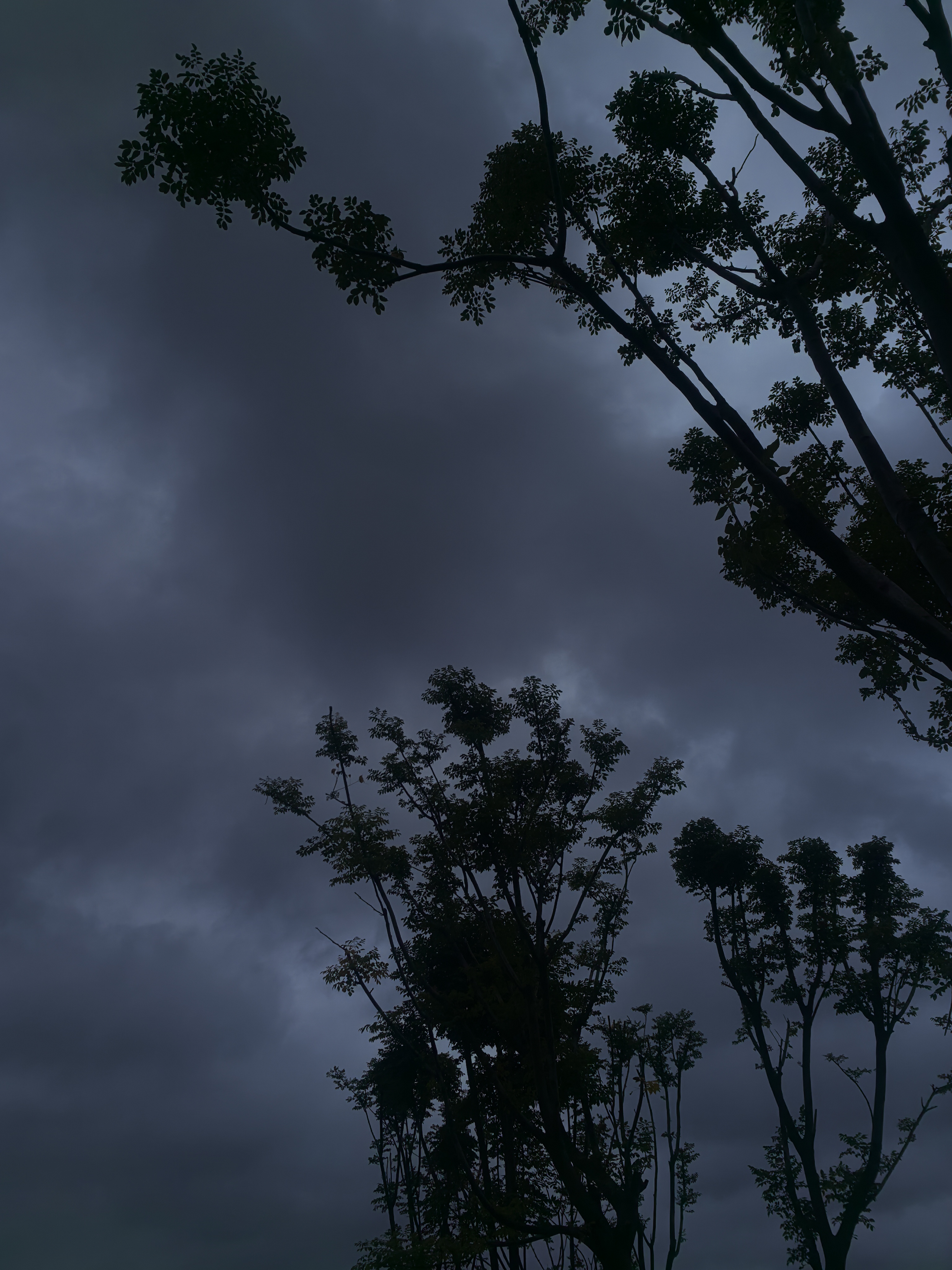 因为,人生翻来覆去就是那么点事,不用装,昏暗的风景图片