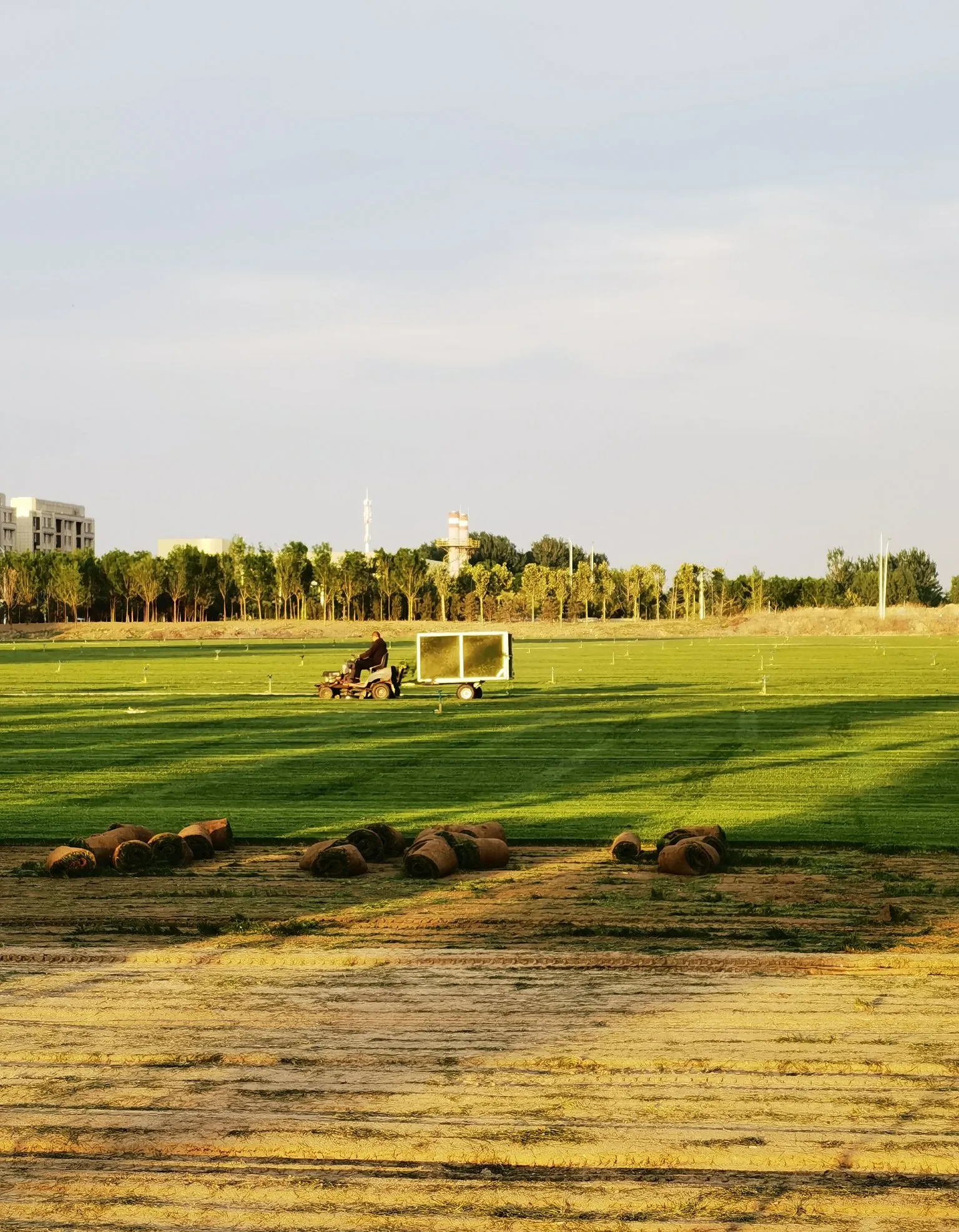 去年十月回家那会儿,也没立马找新工作