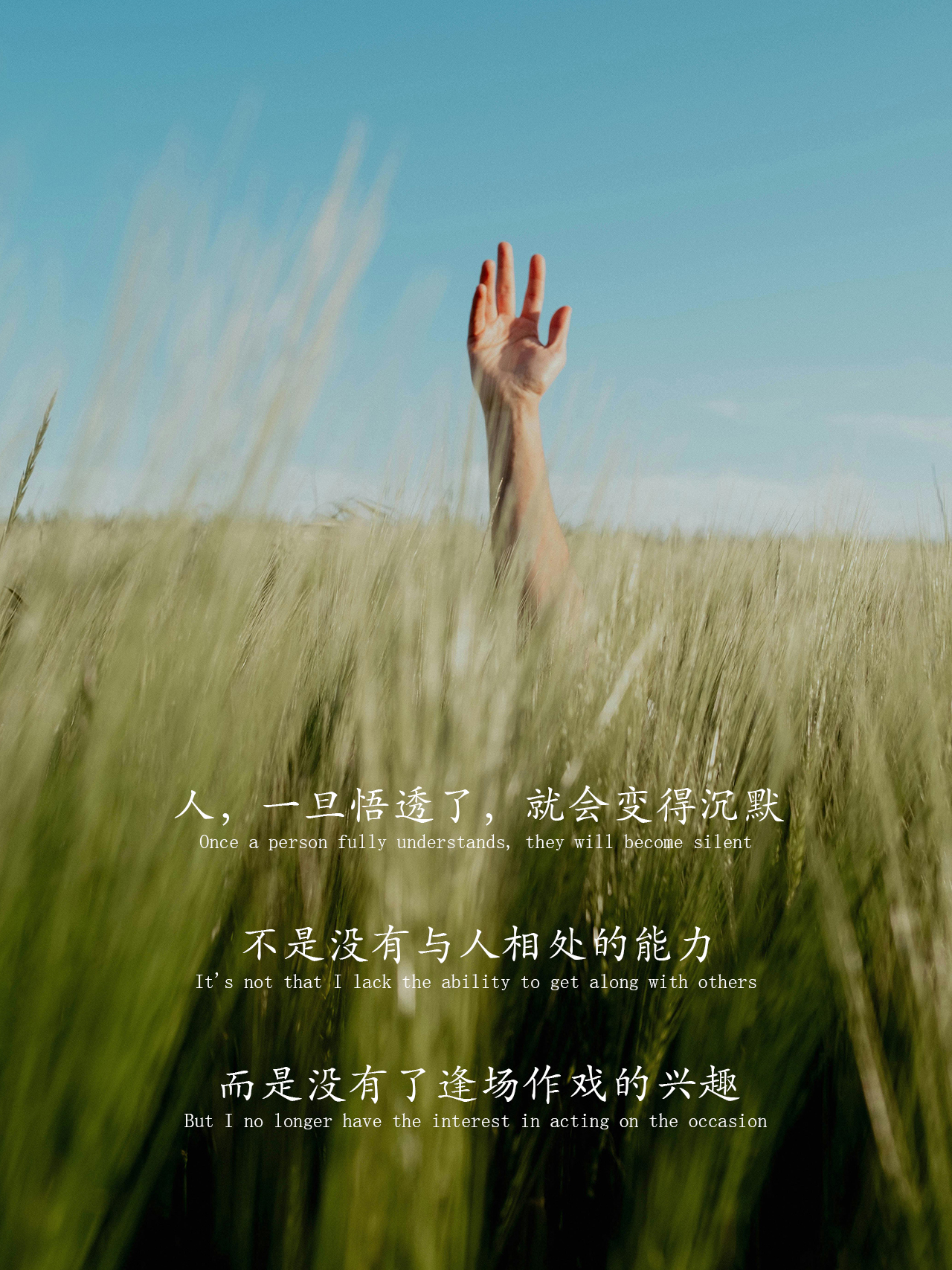人一旦悟透了就会变得沉默