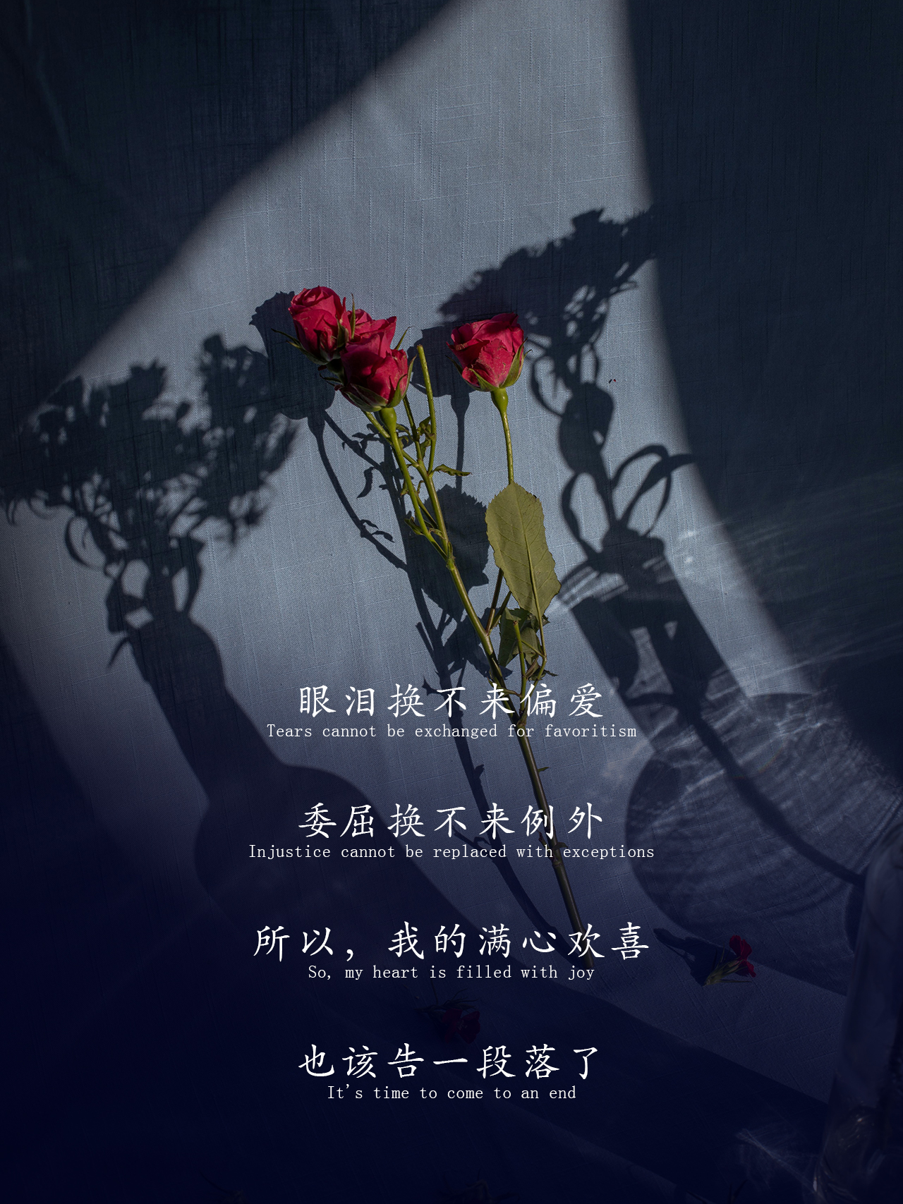 摆脱纠缠:我拒绝所有人的偏爱