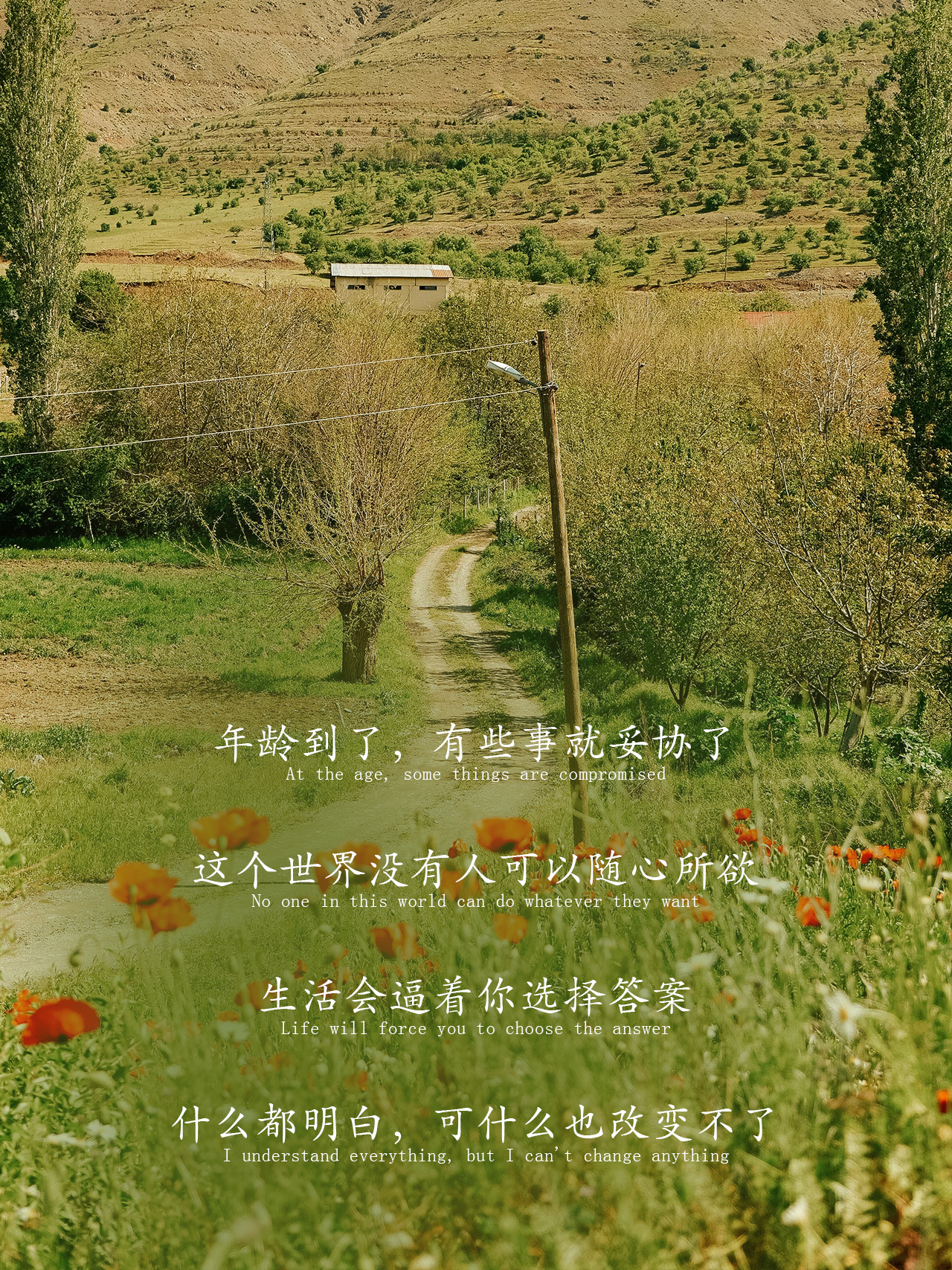 生活会逼着你选择答案 什么都明白可什么也改变不了
