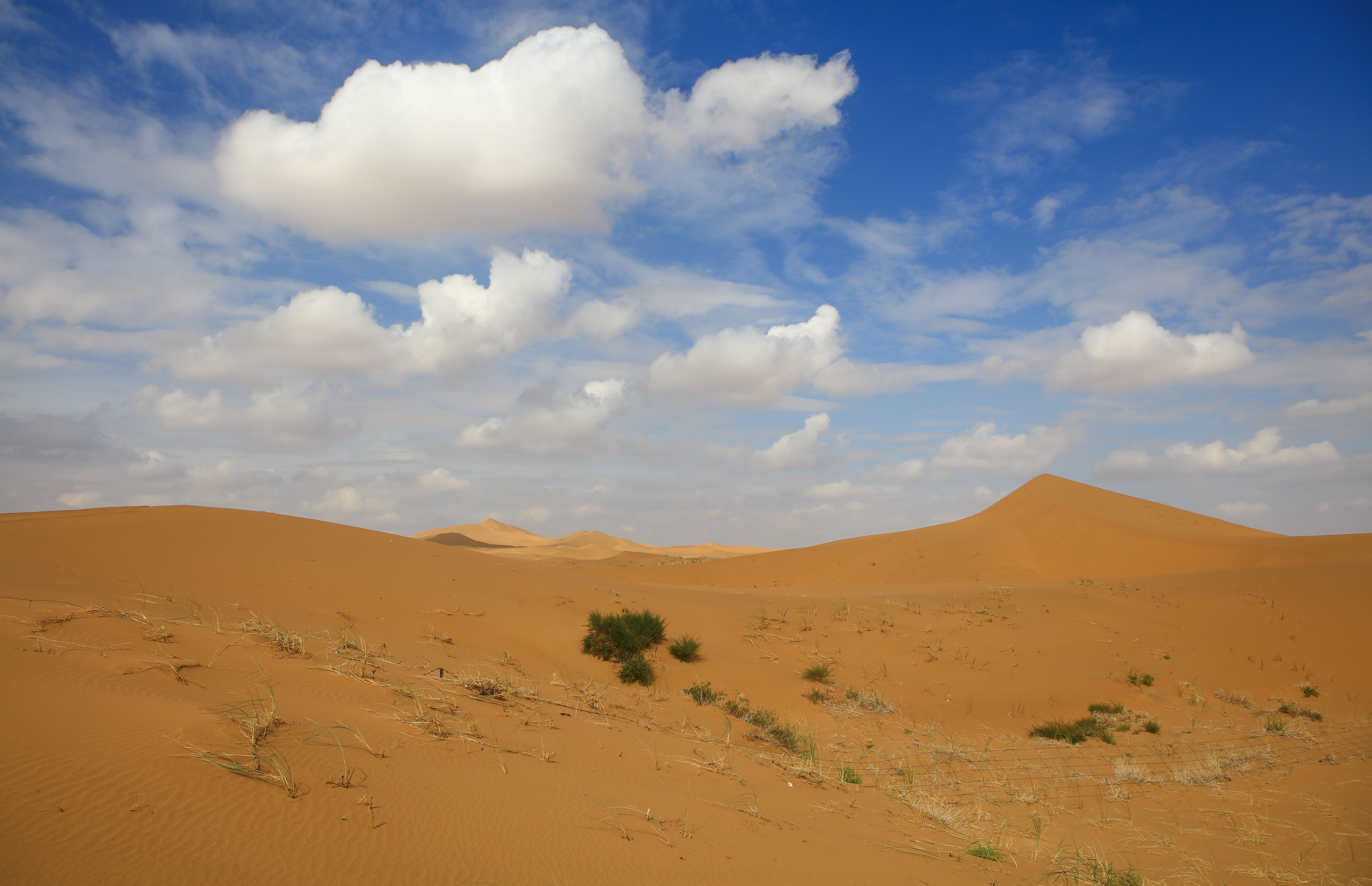 腾格里沙漠徒步:蓝天白云下,无尽的沙丘,宛若一堆堆金沙,金光闪闪