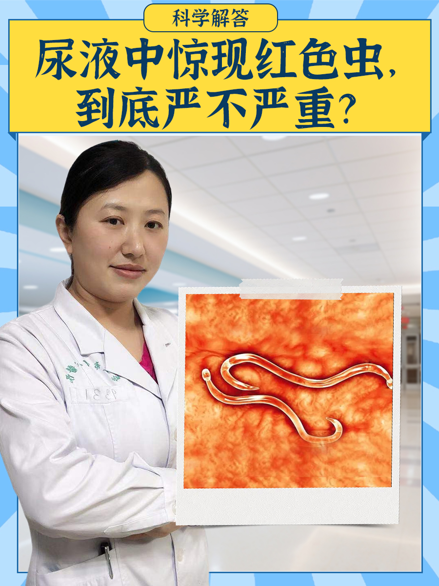 科学解答:尿液中惊现红色虫,到底严不严重?