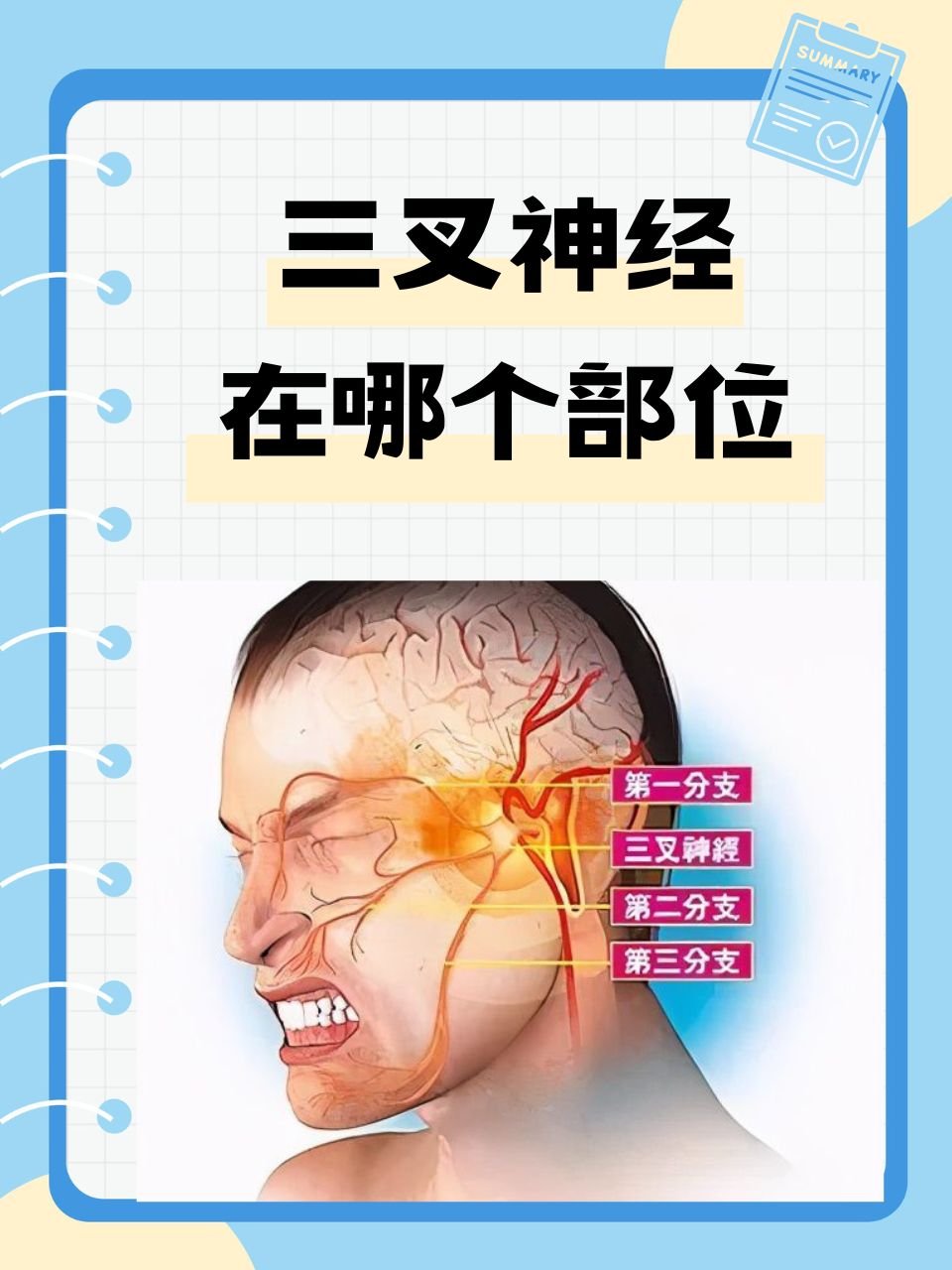 这种疼痛可能与三叉神经有关.