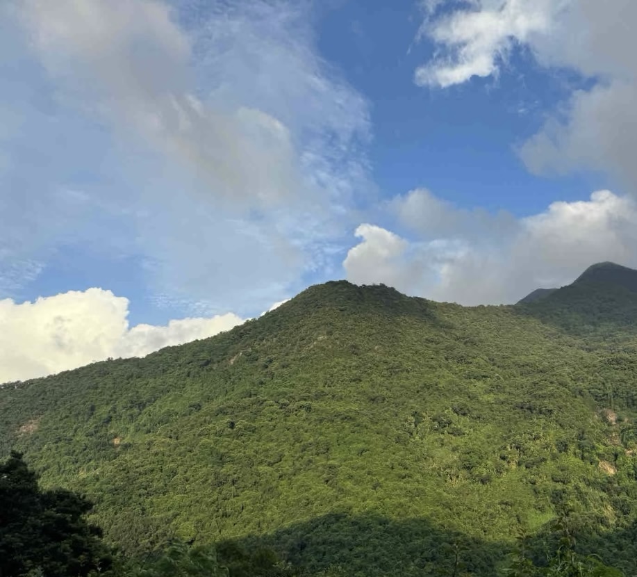 没听说过有叫乱葬岗的,梧桐山有"鹏城第一峰"的美称,听说有个好汉坡