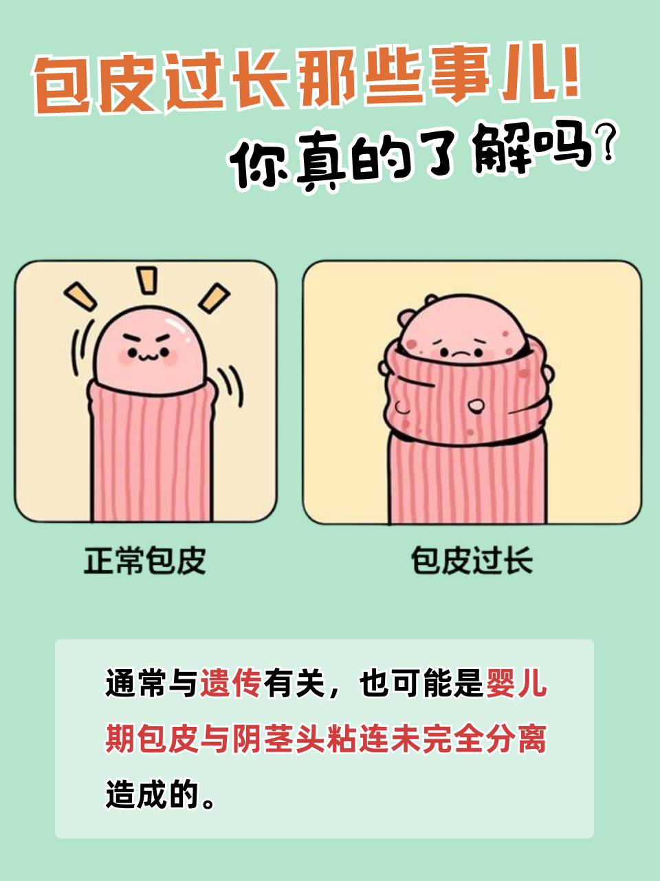 正常包皮与包皮过长对比图包皮过长图片真实阴茎包皮男人包皮过长图片