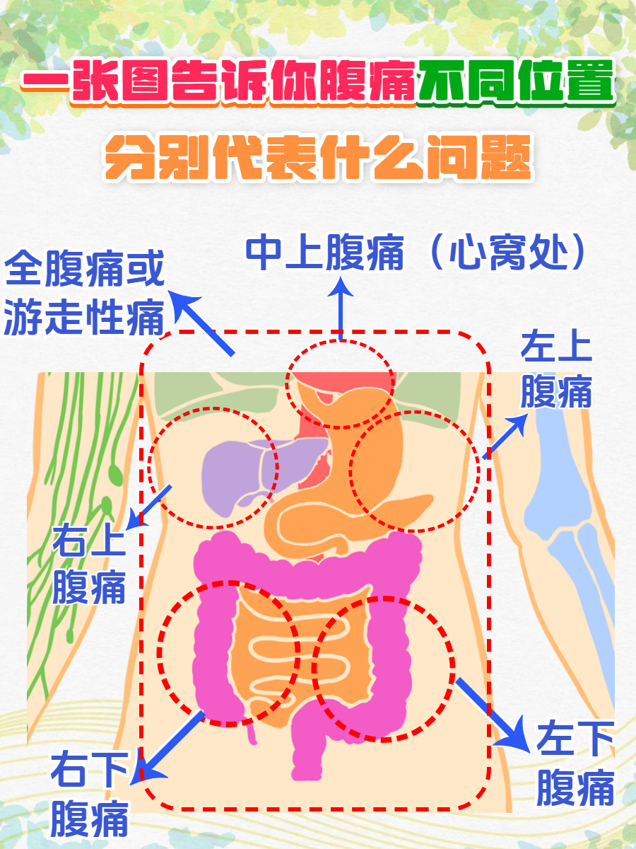 疼痛的位置腹痛部位 卡通腹痛位置对应图胆囊炎肋骨疼痛位置图十二