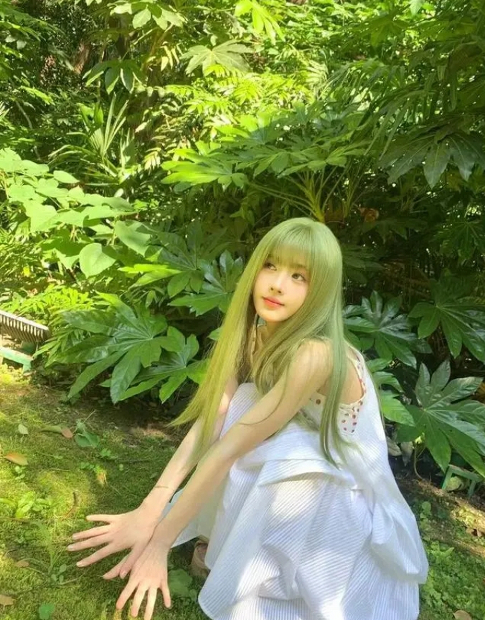 鞠婧祎绿发,刘海挺可爱呗. 上联:风清云淡近午天.