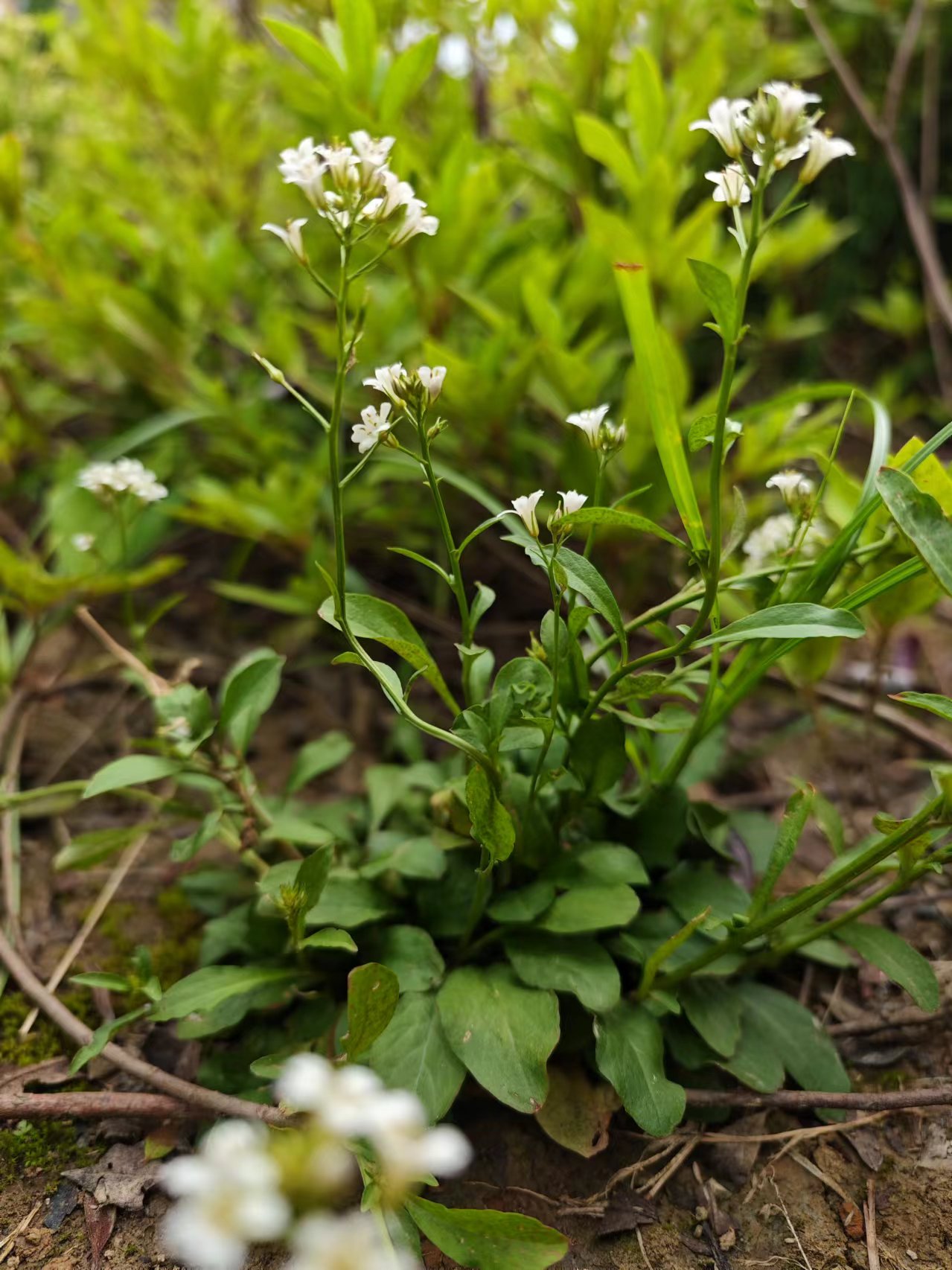 致同样努力的我们: 只有足够的坚持, 才会足够幸运