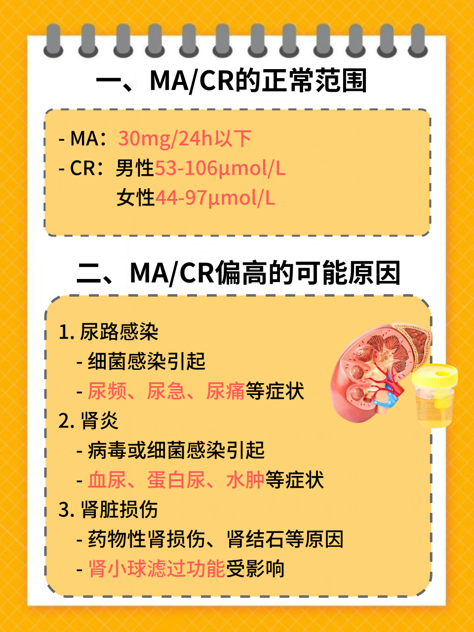解读ma/cr偏高:肾脏健康的警示与应对策略[挠头] 在医学检测中,ma/cr