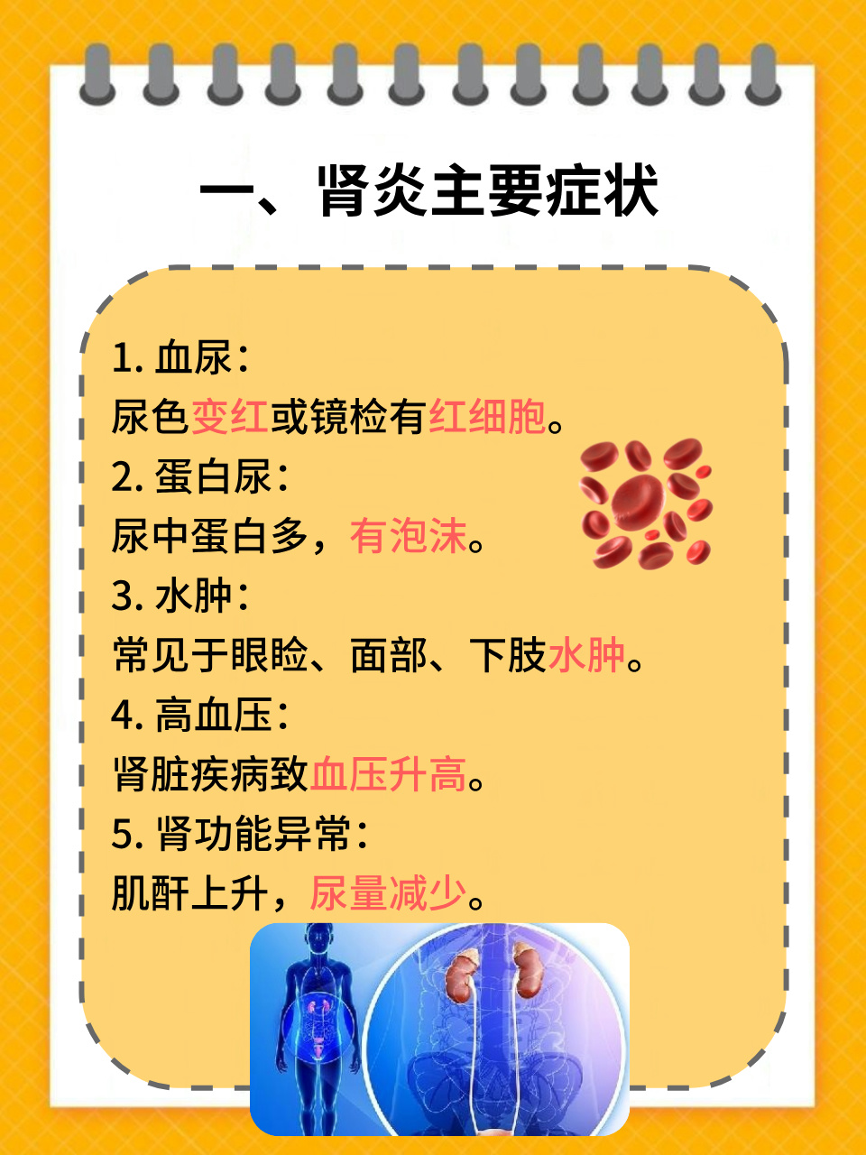 得了肾炎怎么办肾炎能治好吗百科在线