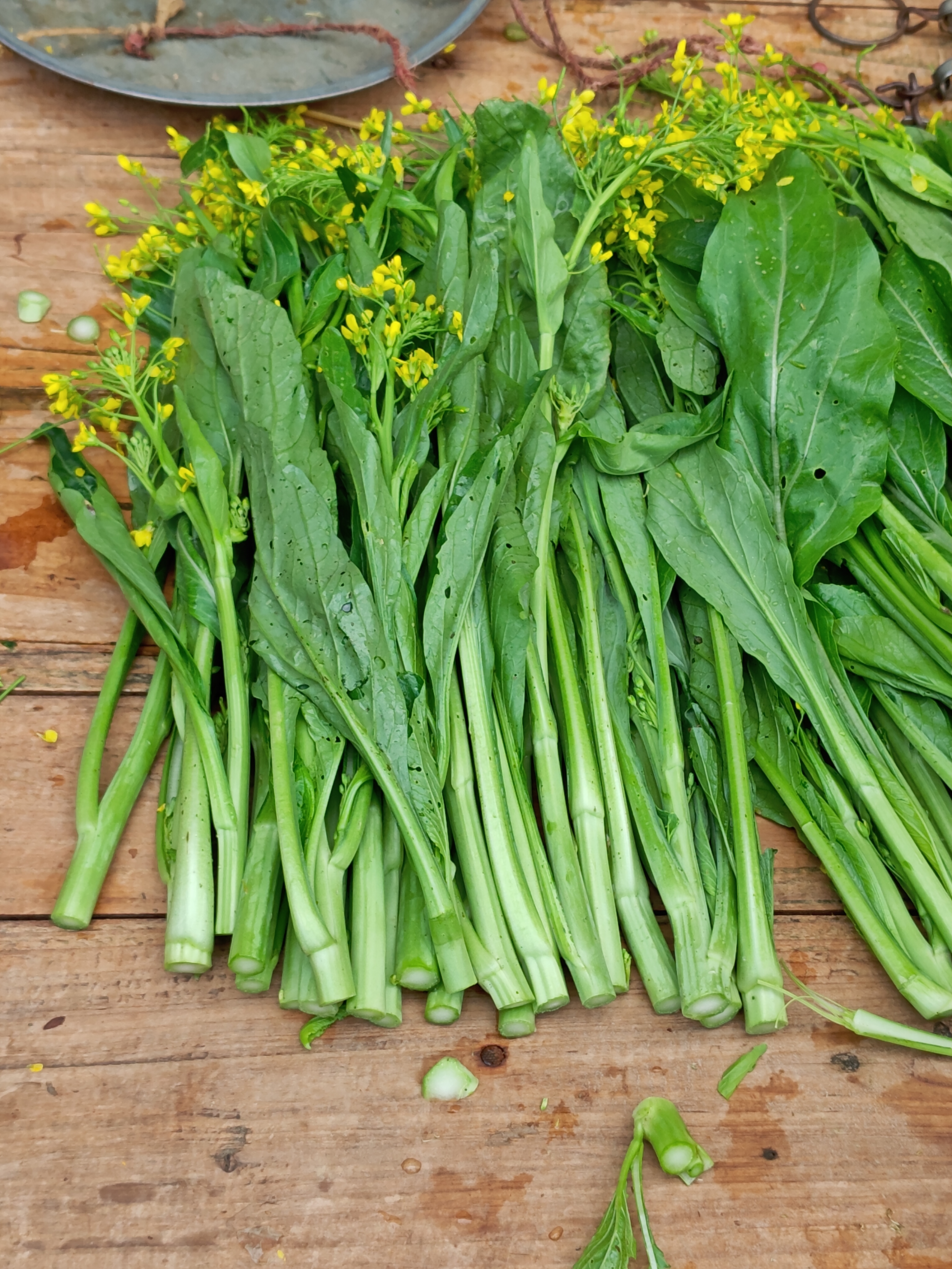 菜心照片图片