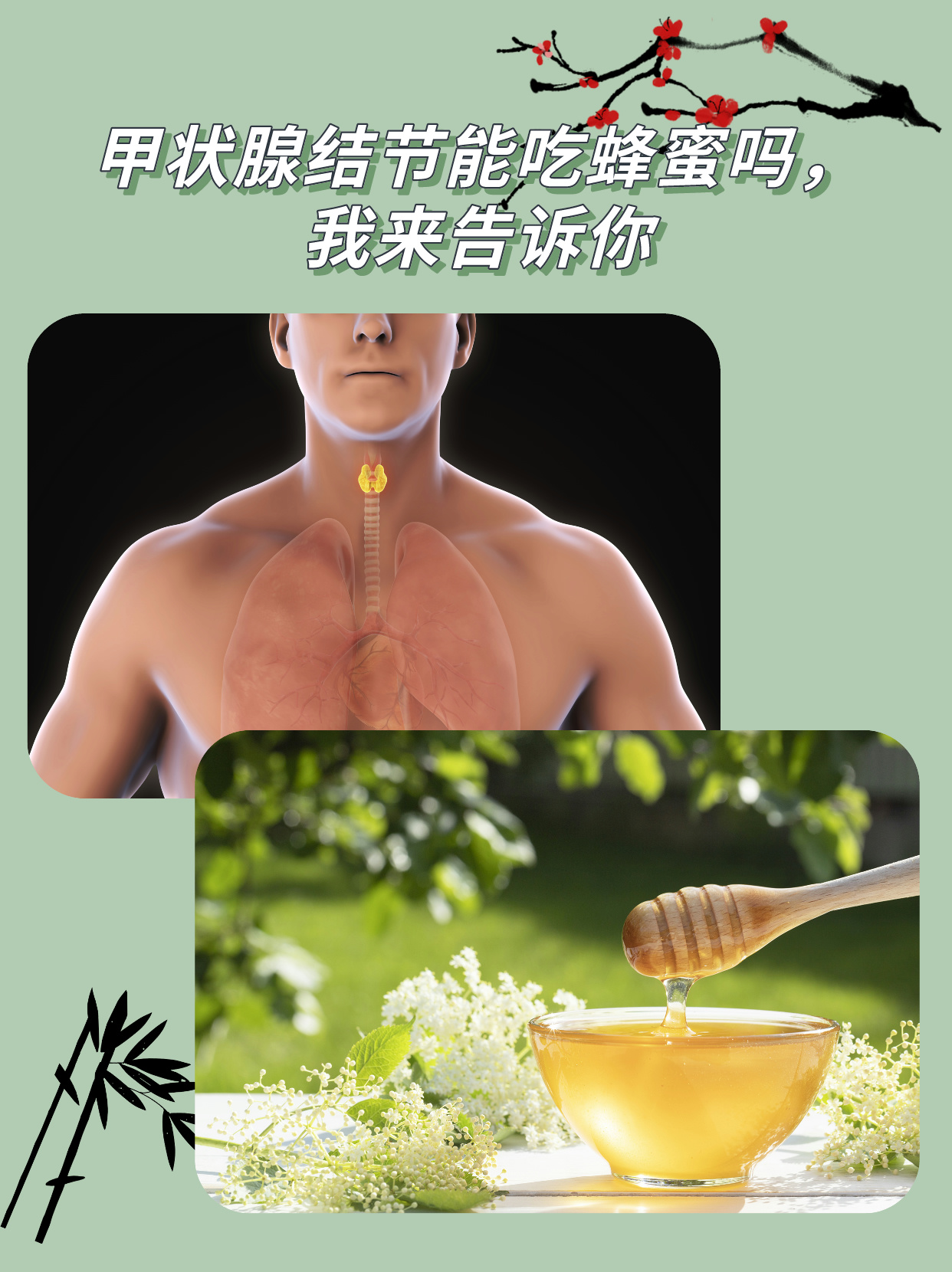 蜂蜜含糖量高对人身体有害吗(蜂蜜含糖量高不)