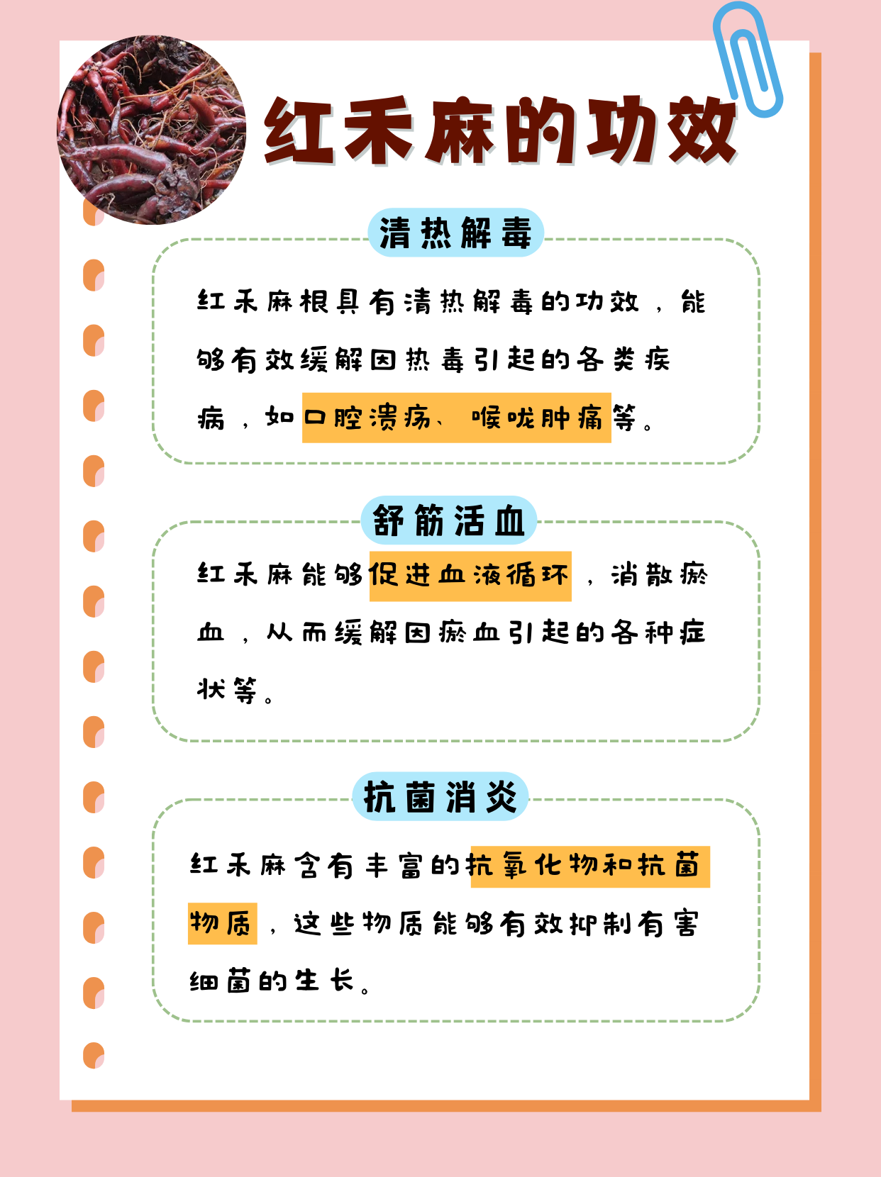 红禾麻的功效和作用 有这样一种神奇的植物——红禾麻,也叫红活麻