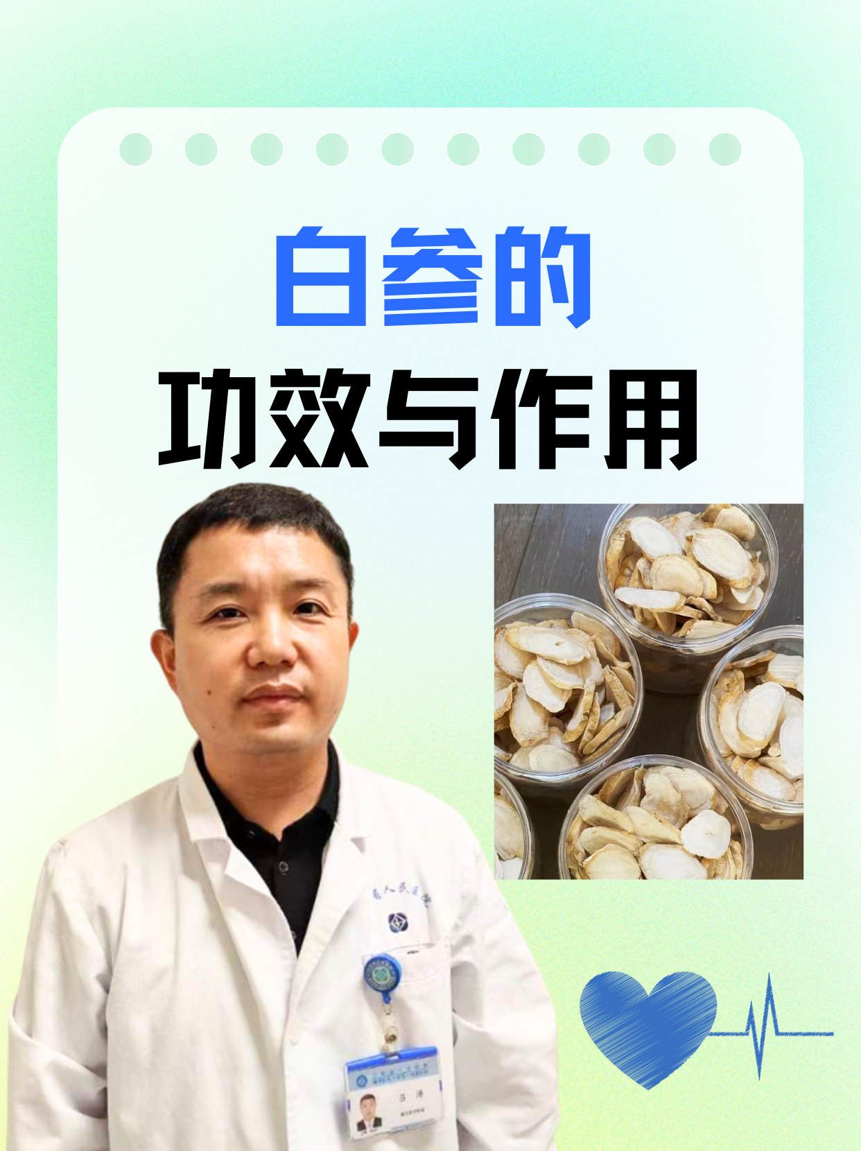 白参的功效与作用 白参,又名白沙参,南沙参,羊婆奶,为桔梗科植物轮叶