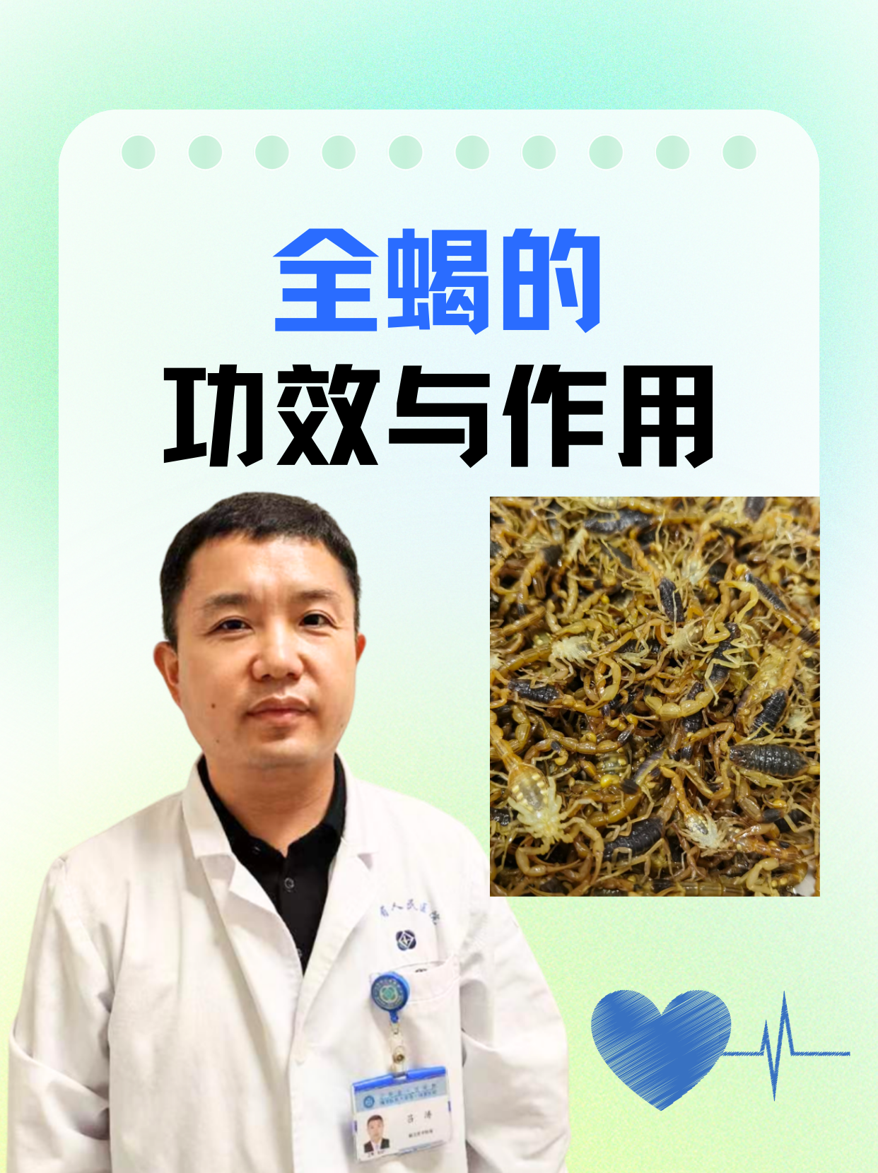 沂蒙山蝎子为啥十条腿图片